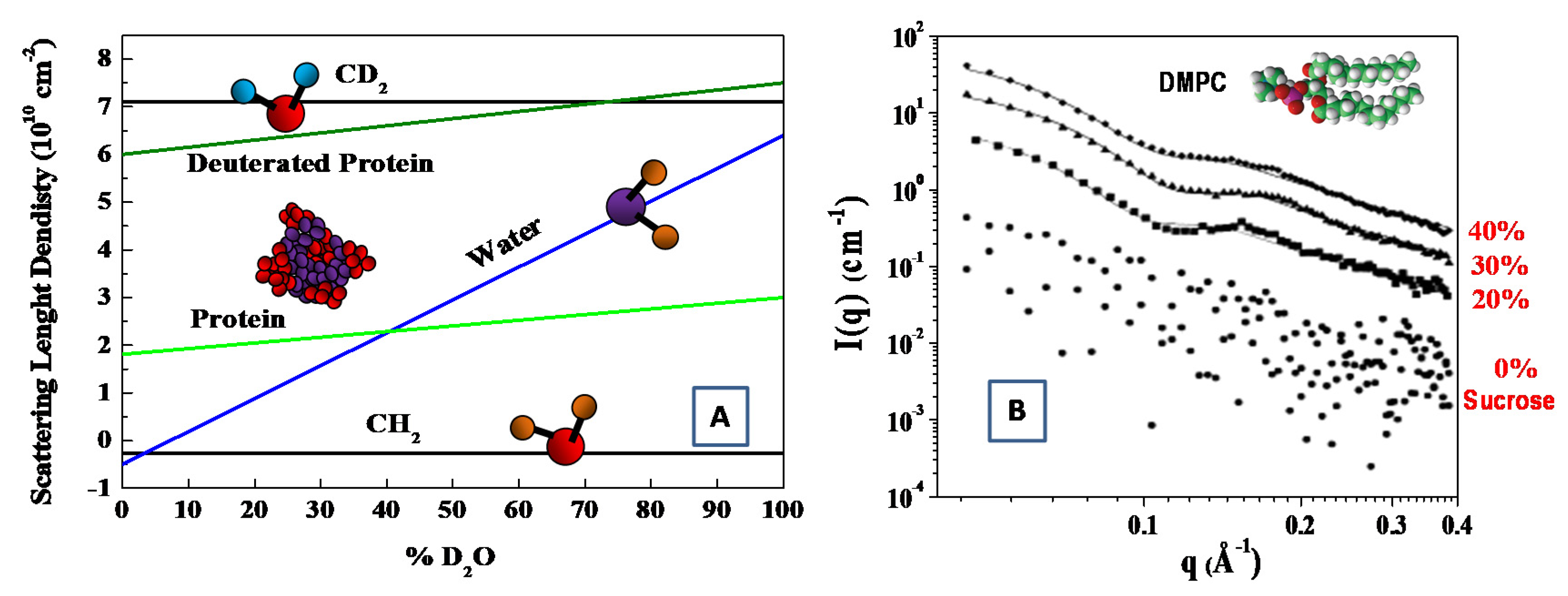 Molecules 25 05624 g003