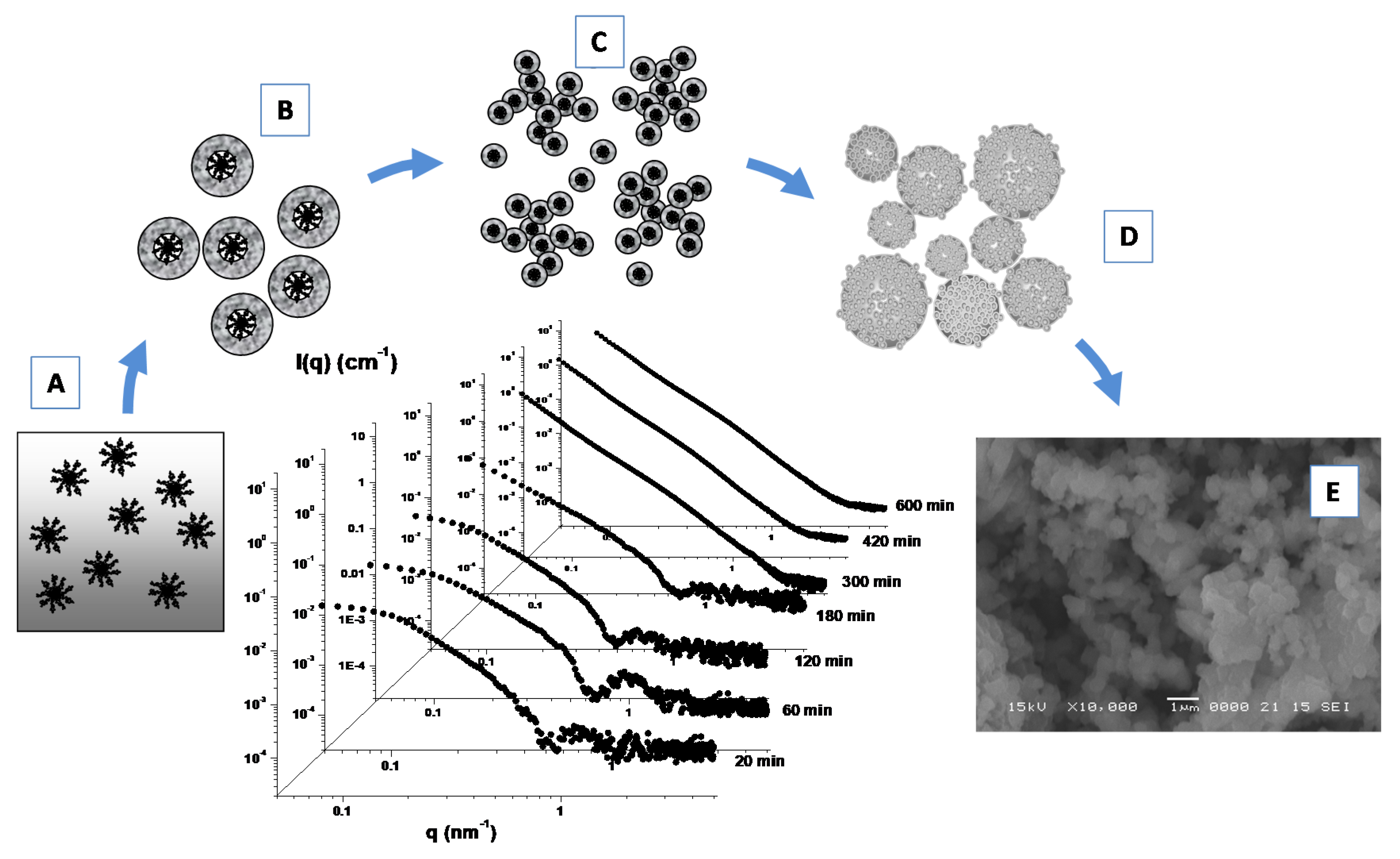 Molecules 25 05624 g008