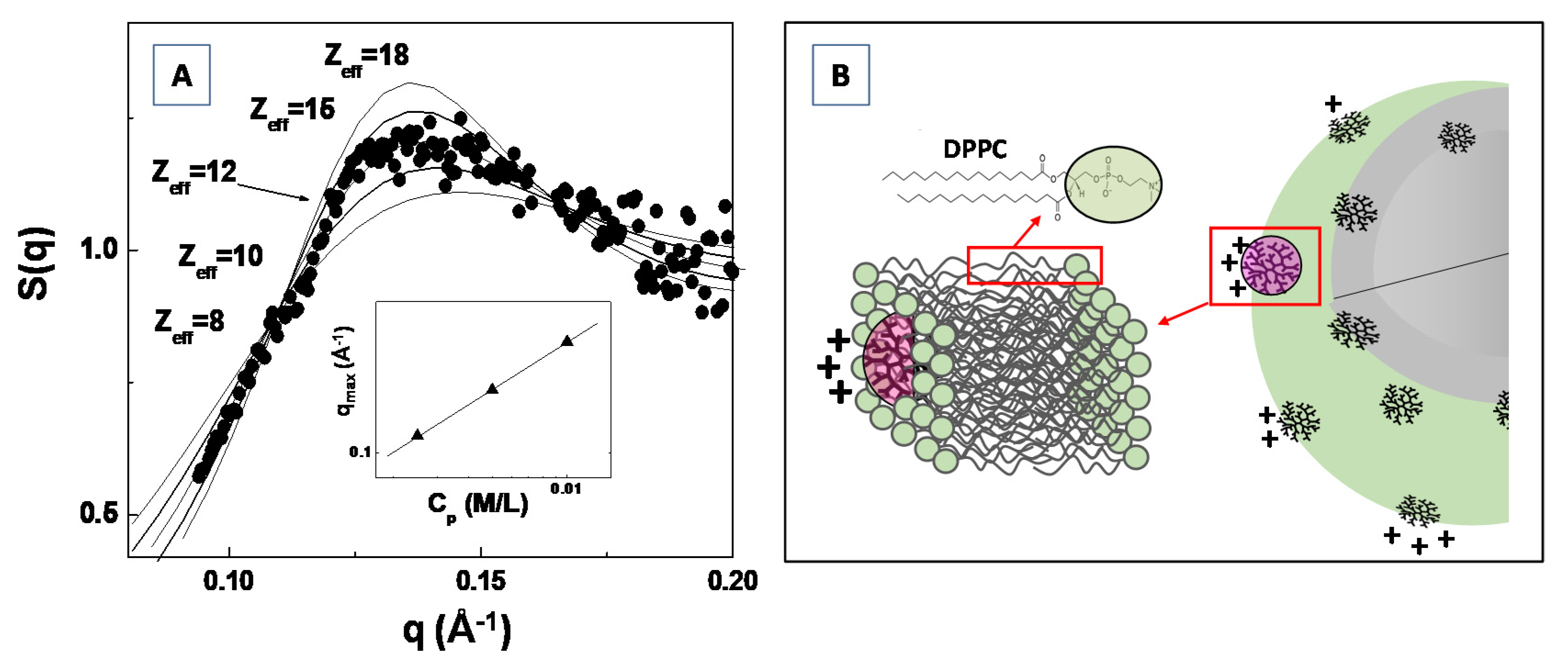 Molecules 25 05624 g011