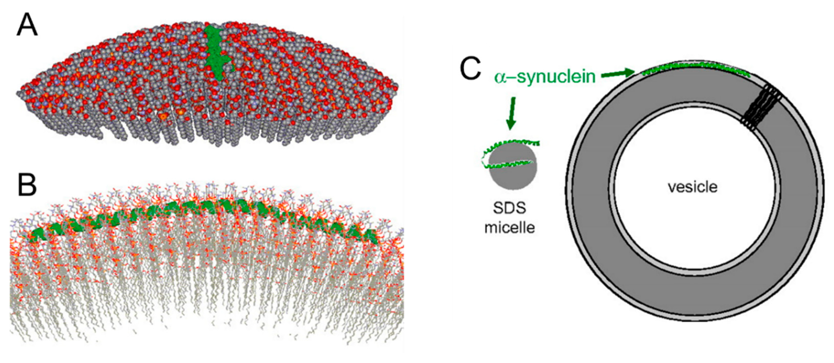 Molecules 25 05625 g002 Molecules 25 05625 g002