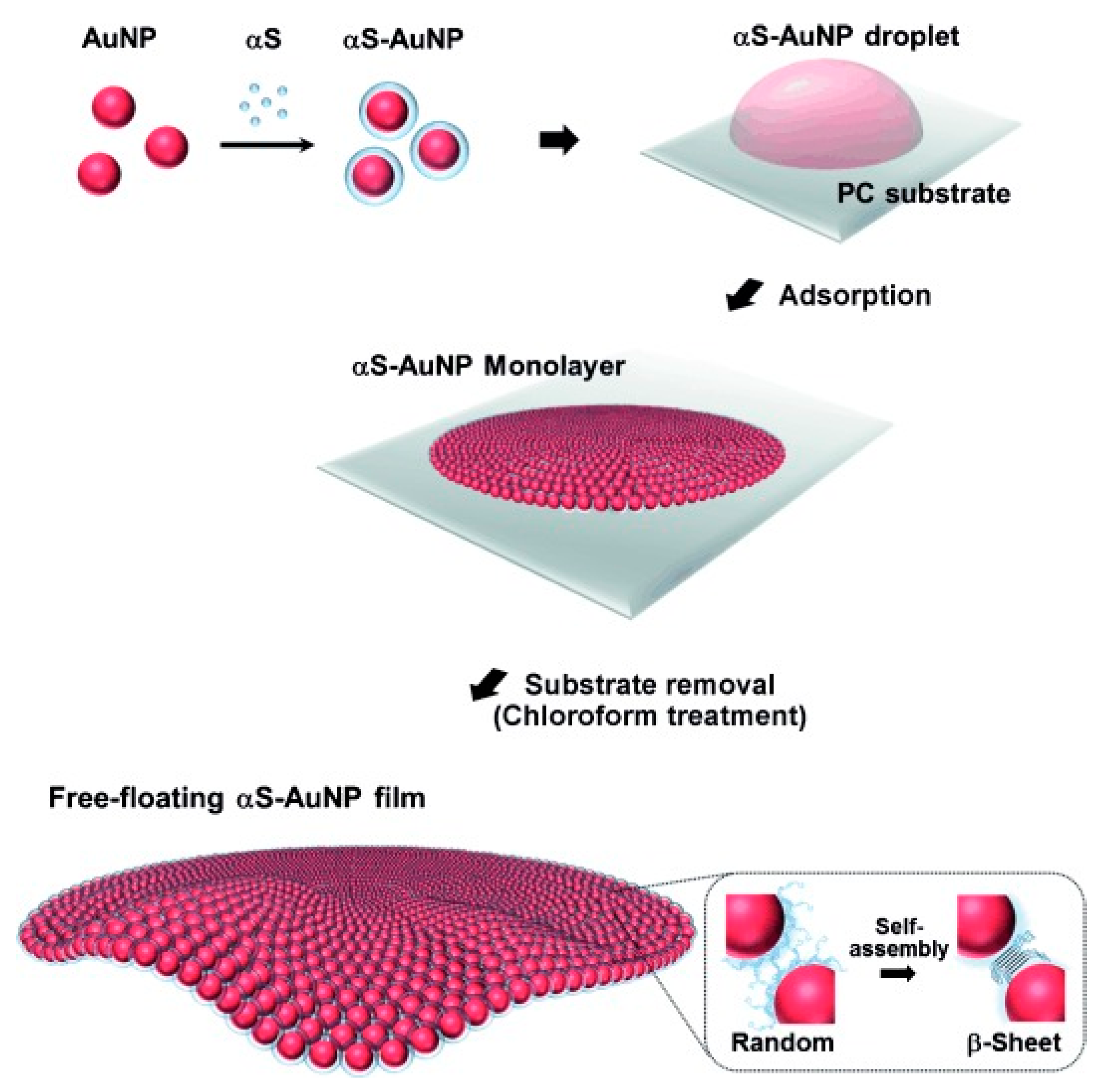 Molecules 25 05625 g004 Molecules 25 05625 g004
