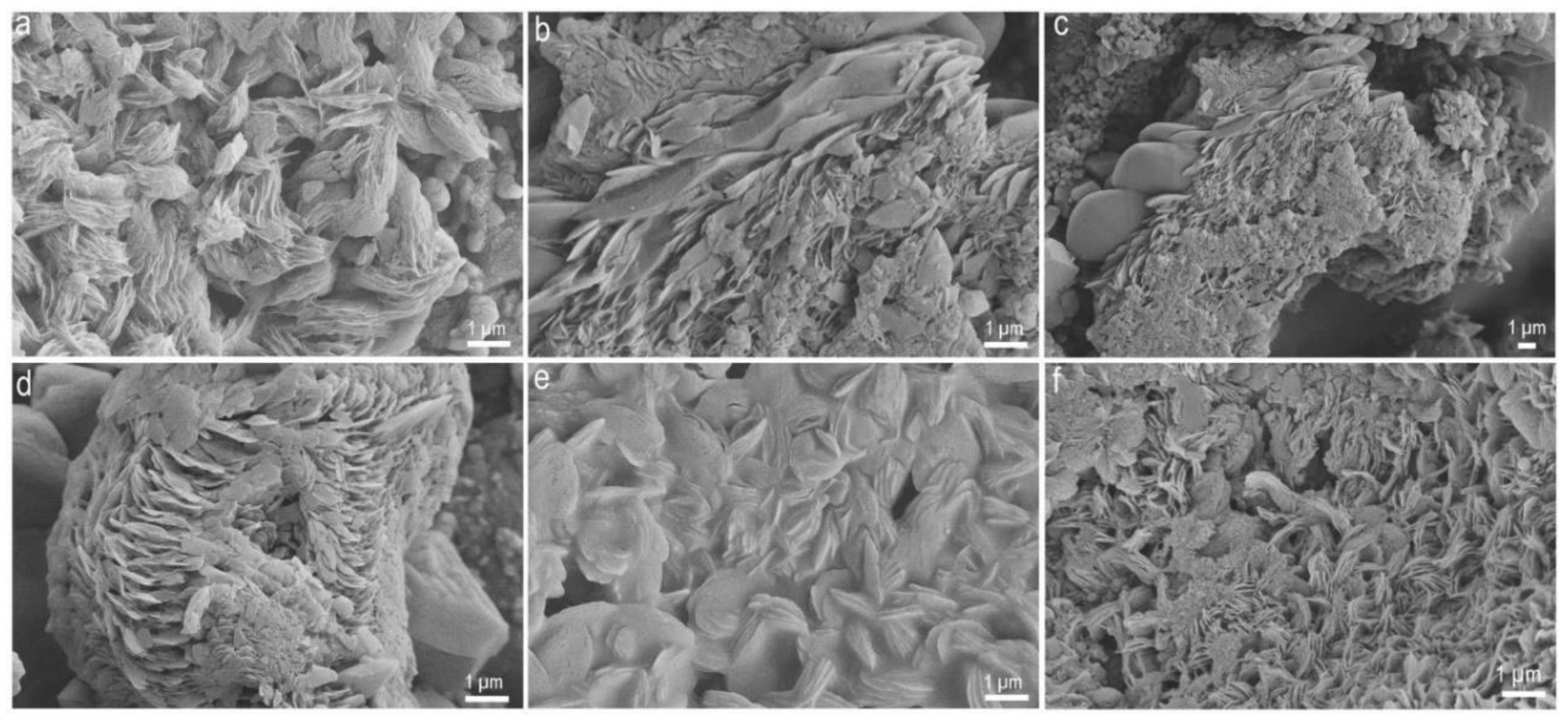 Molecules 25 05634 g002