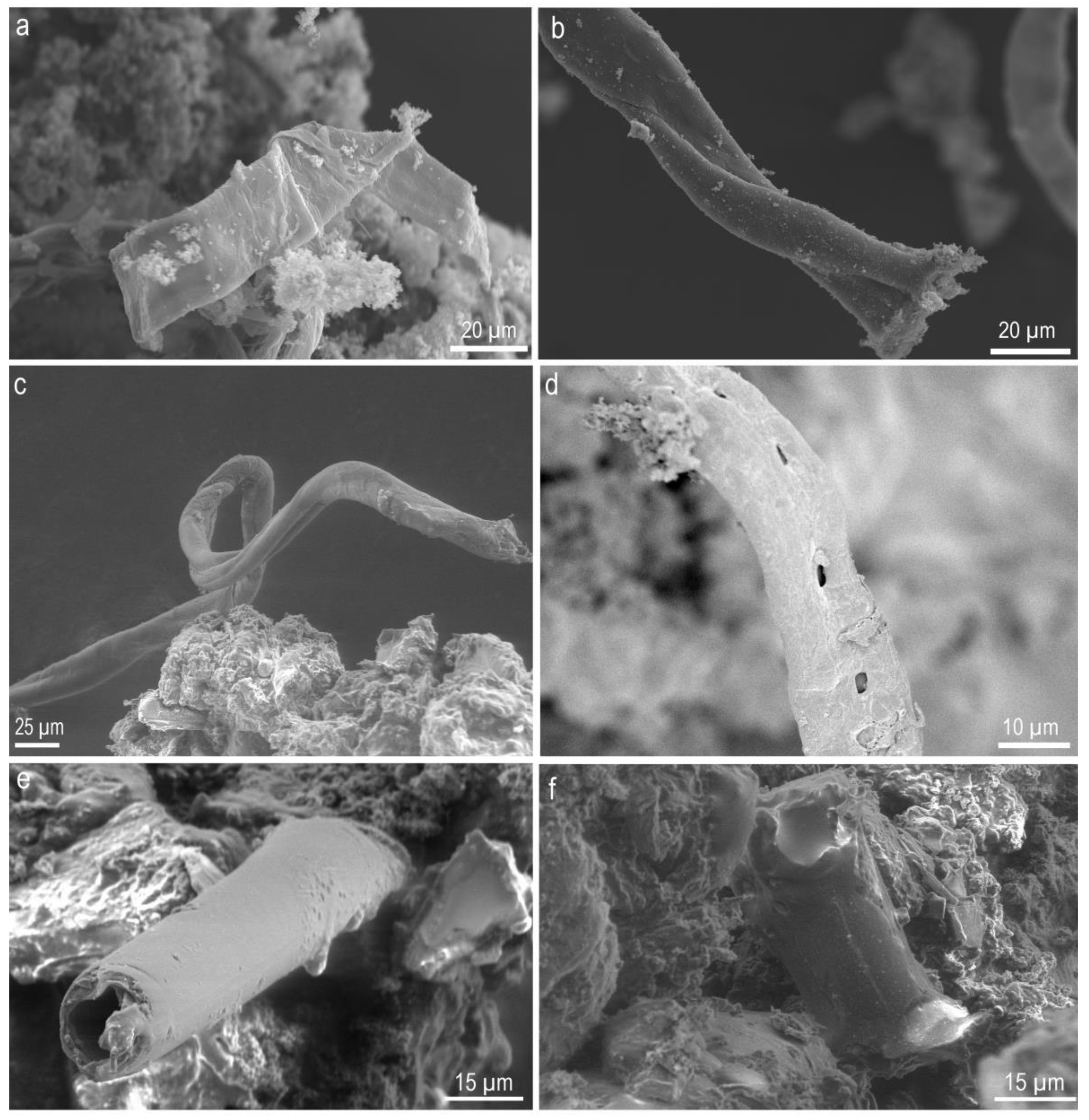 Molecules 25 05634 g004
