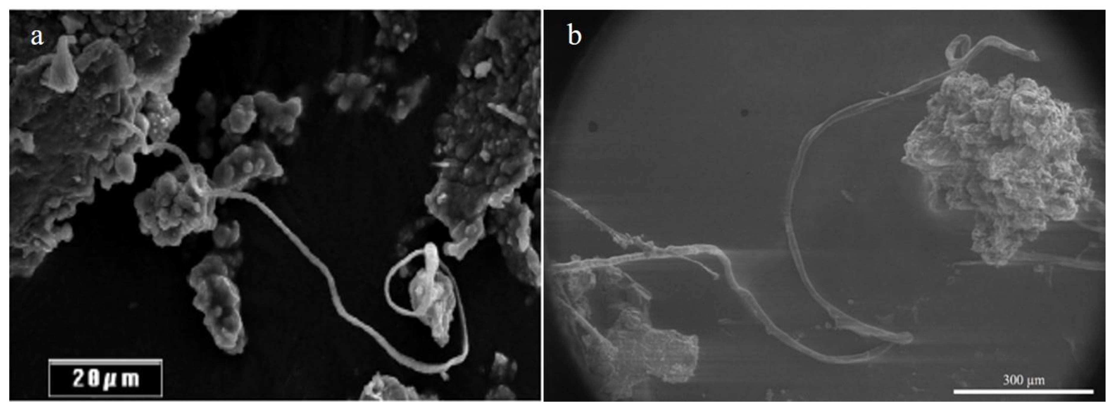 Molecules 25 05634 g006