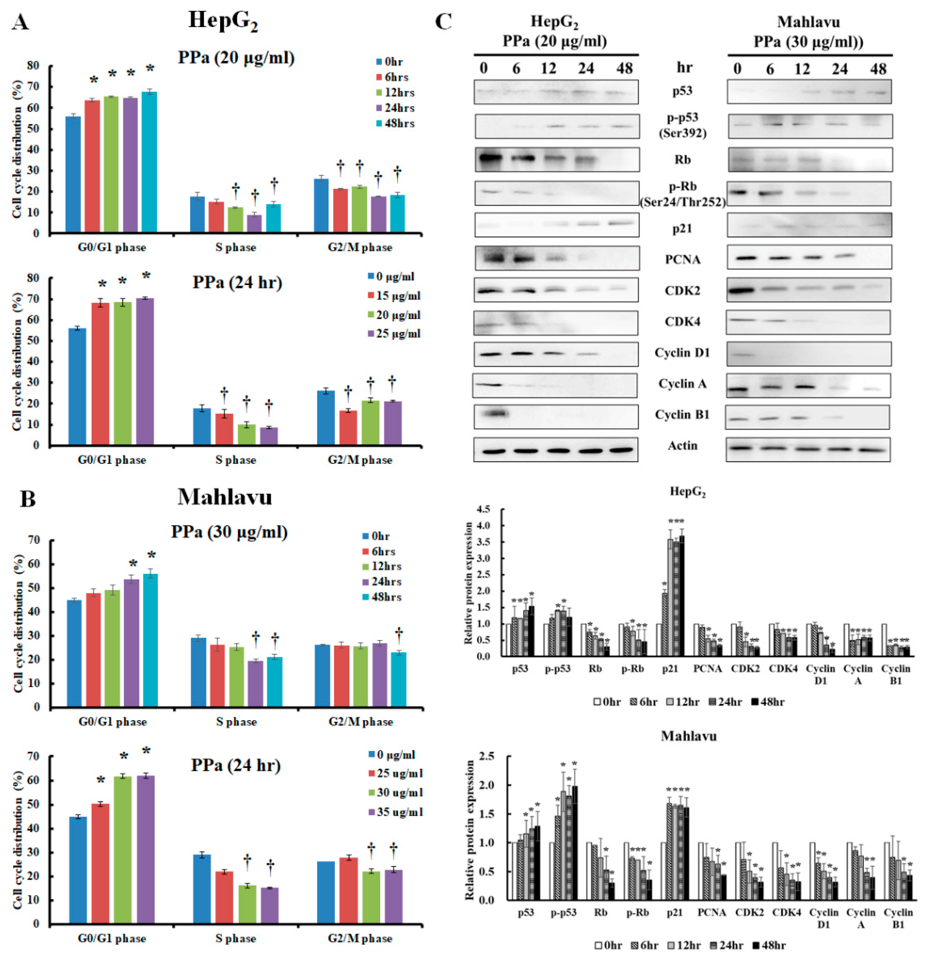 Molecules 25 05639 g002 Molecules 25 05639 g002