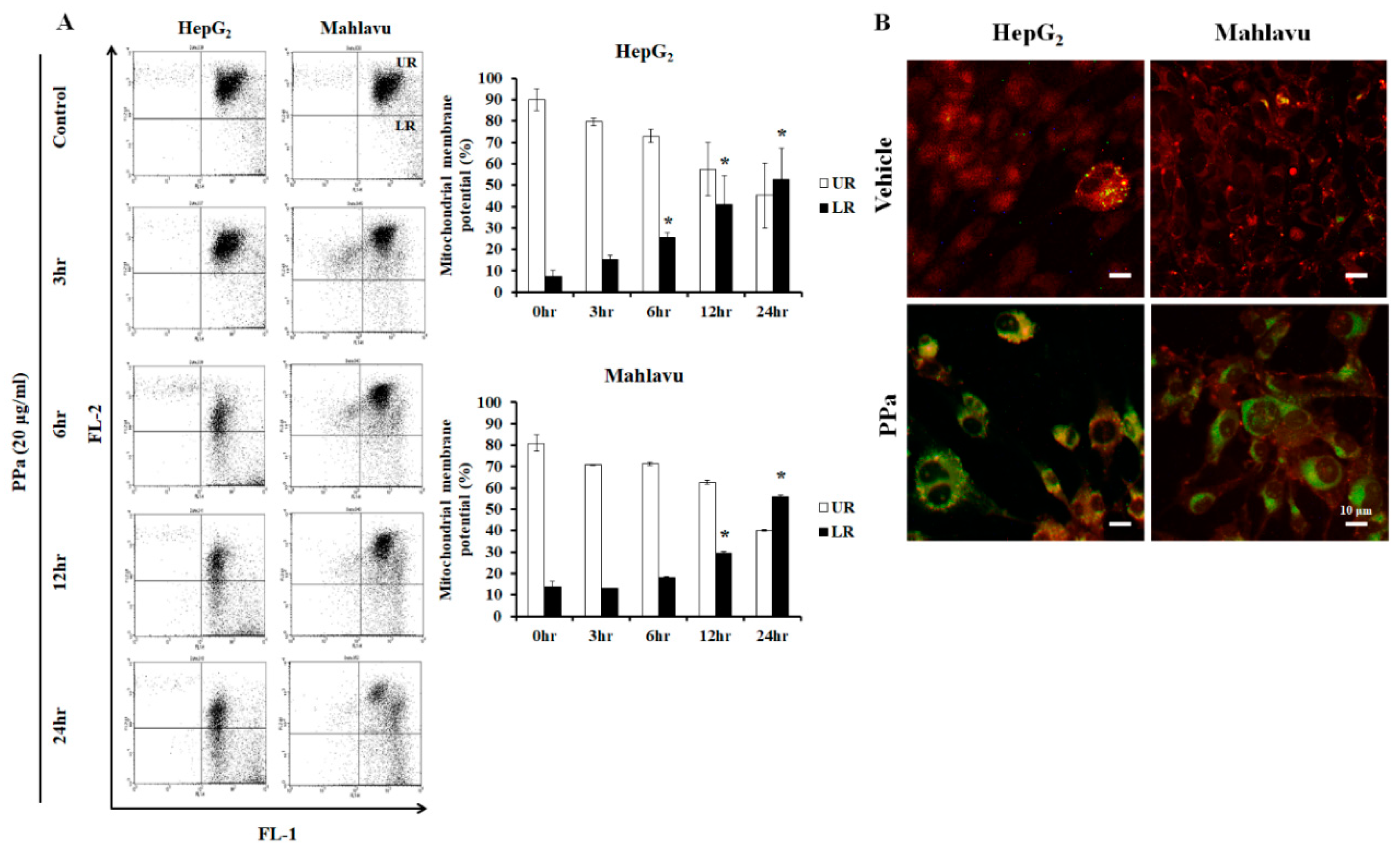 Molecules 25 05639 g004 Molecules 25 05639 g004