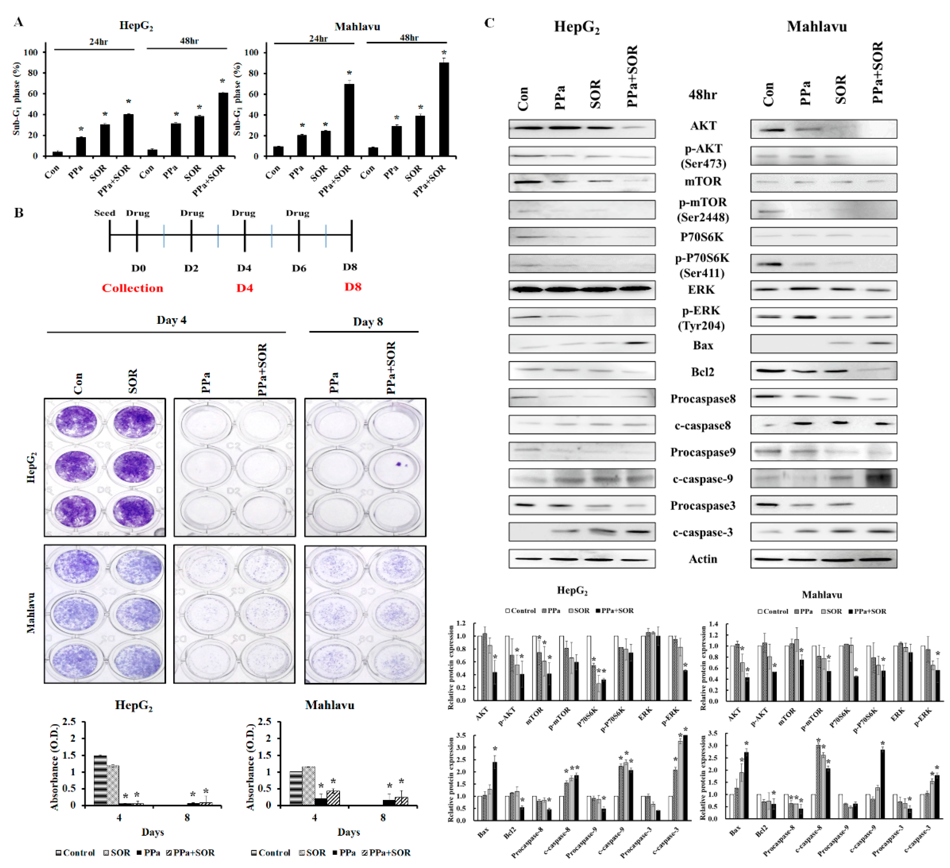 Molecules 25 05639 g007 Molecules 25 05639 g007
