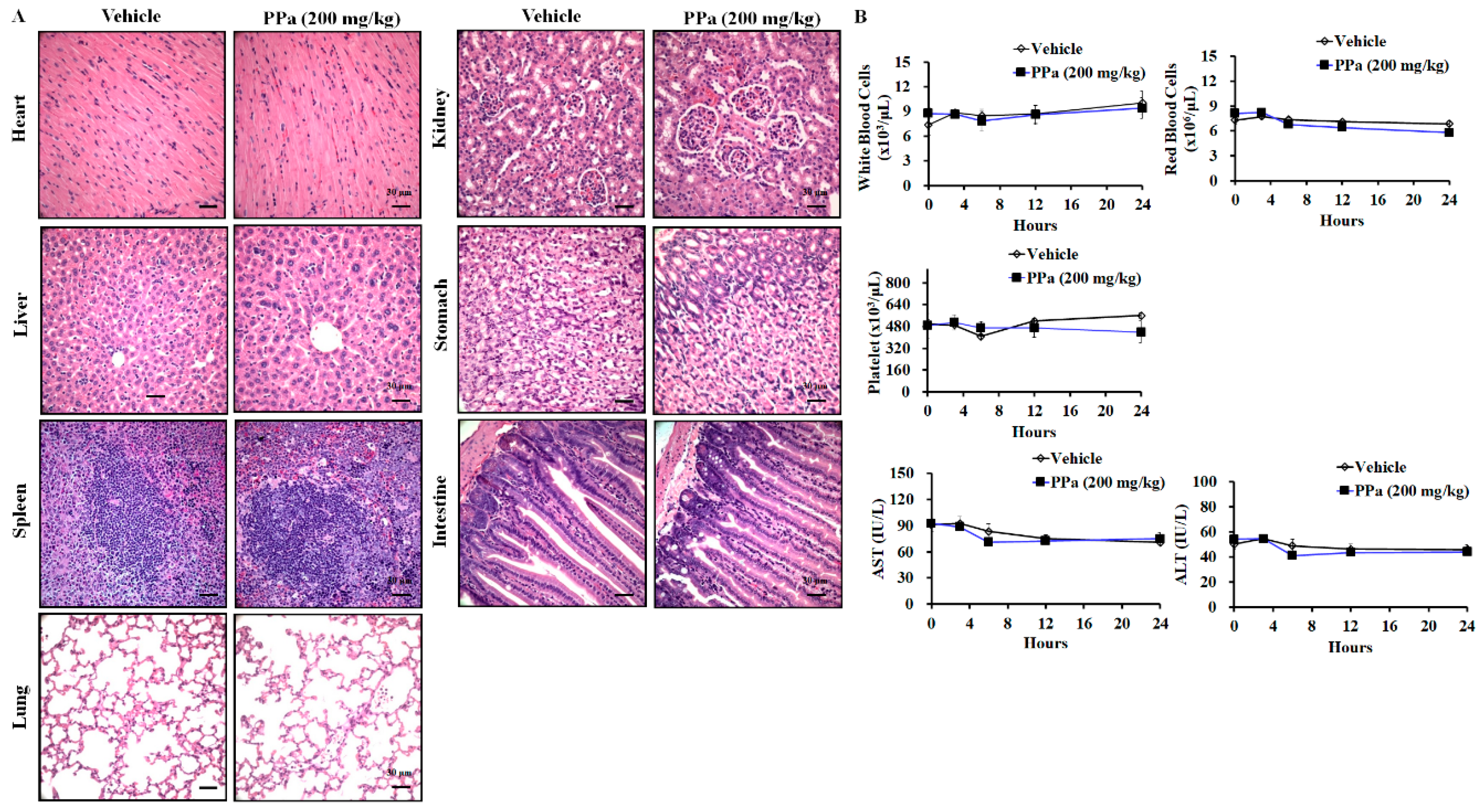 Molecules 25 05639 g009 Molecules 25 05639 g009