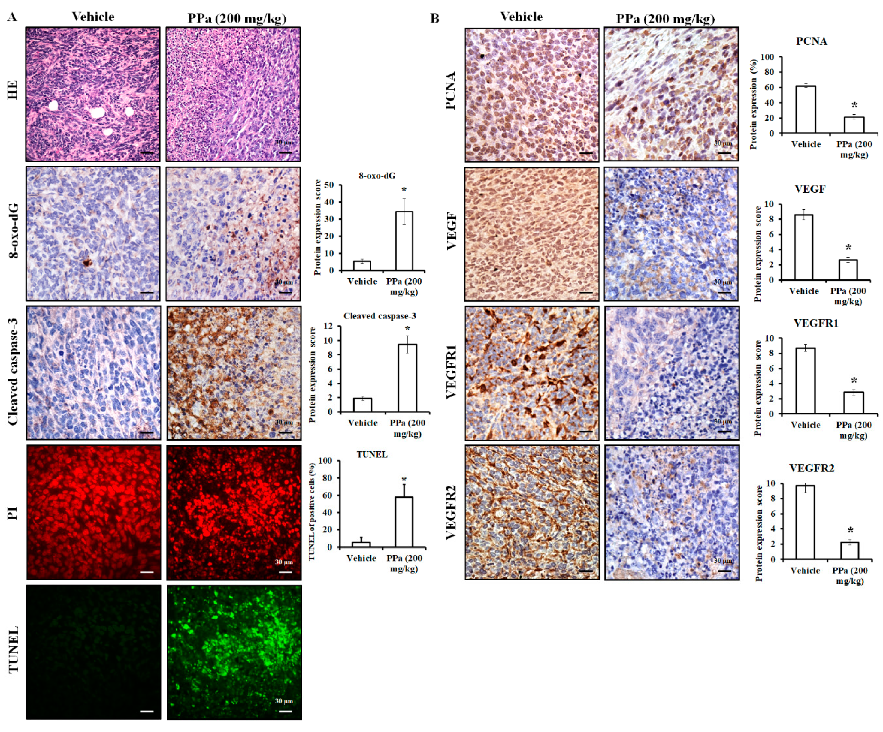 Molecules 25 05639 g010 Molecules 25 05639 g010