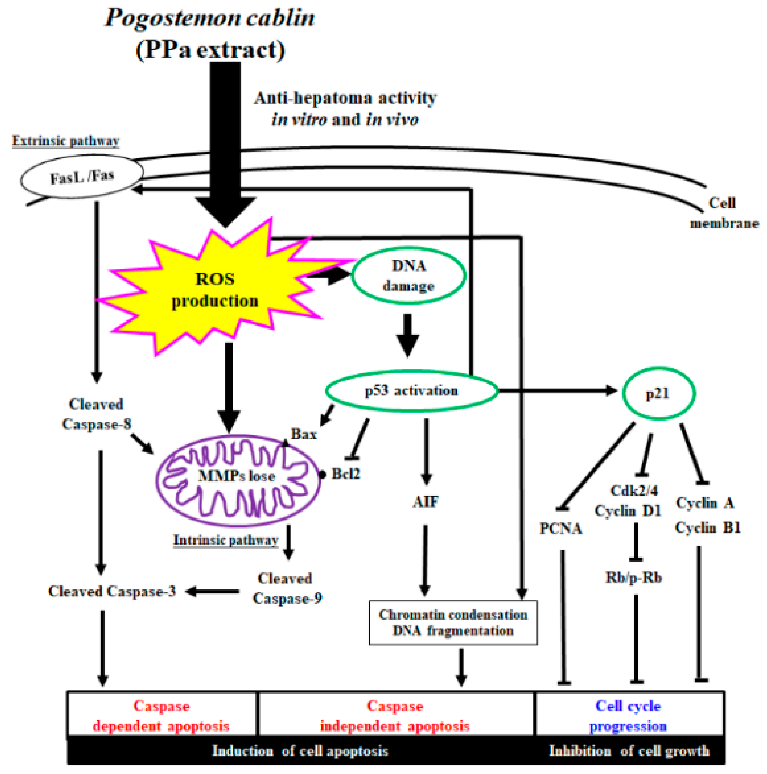 Molecules 25 05639 g012 Molecules 25 05639 g012