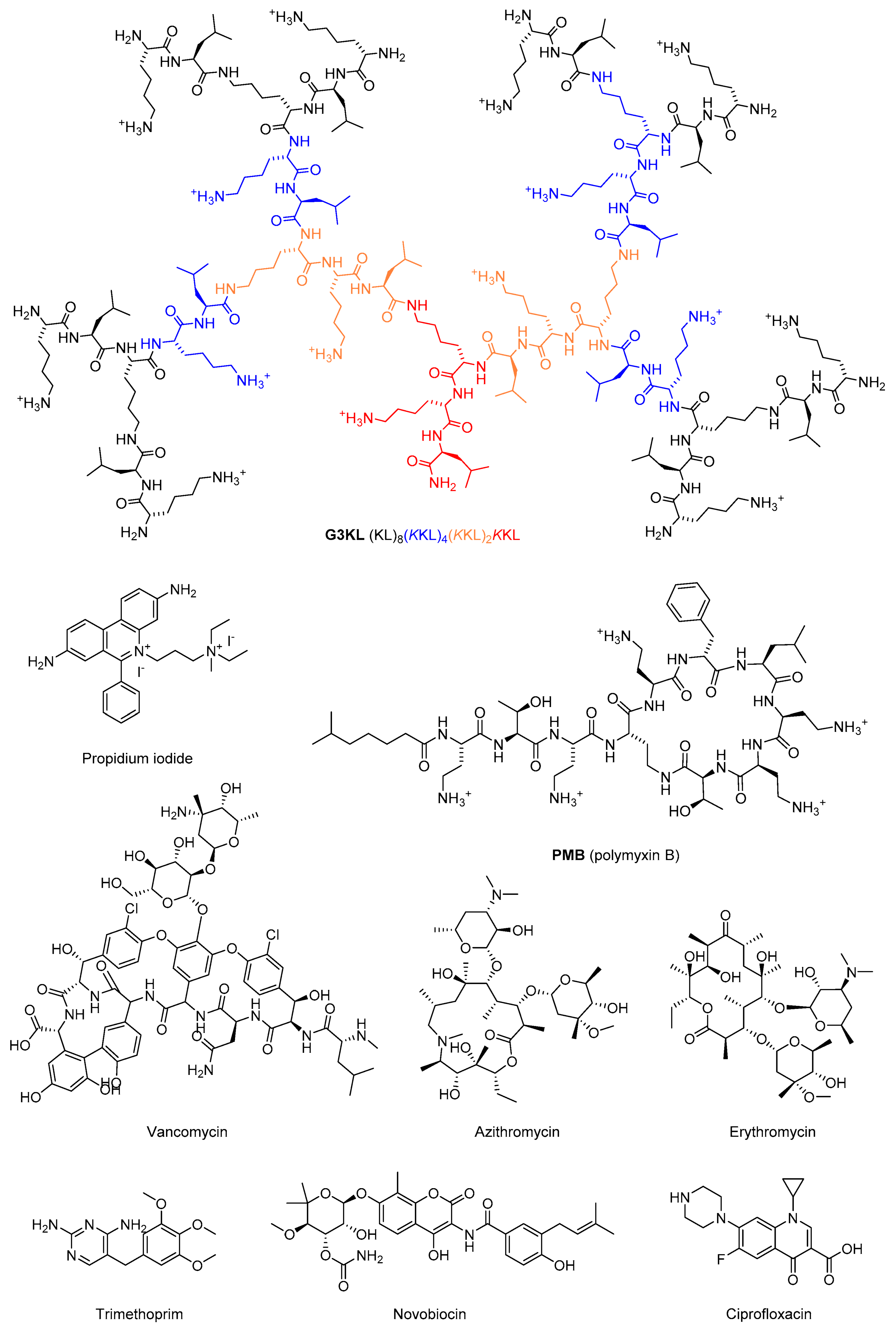Molecules 25 05643 g001