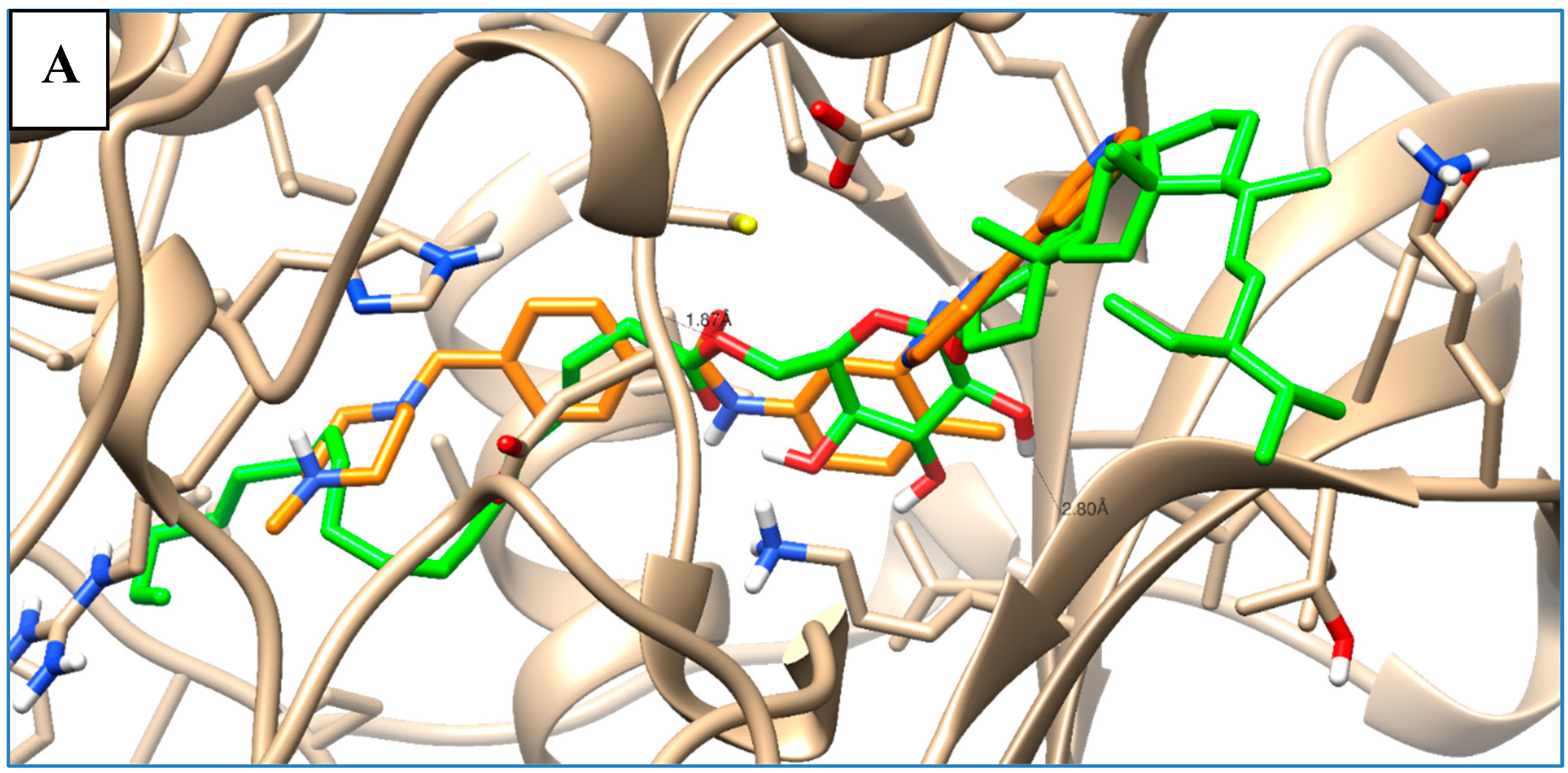 Molecules 25 05650 g007a Molecules 25 05650 g007a