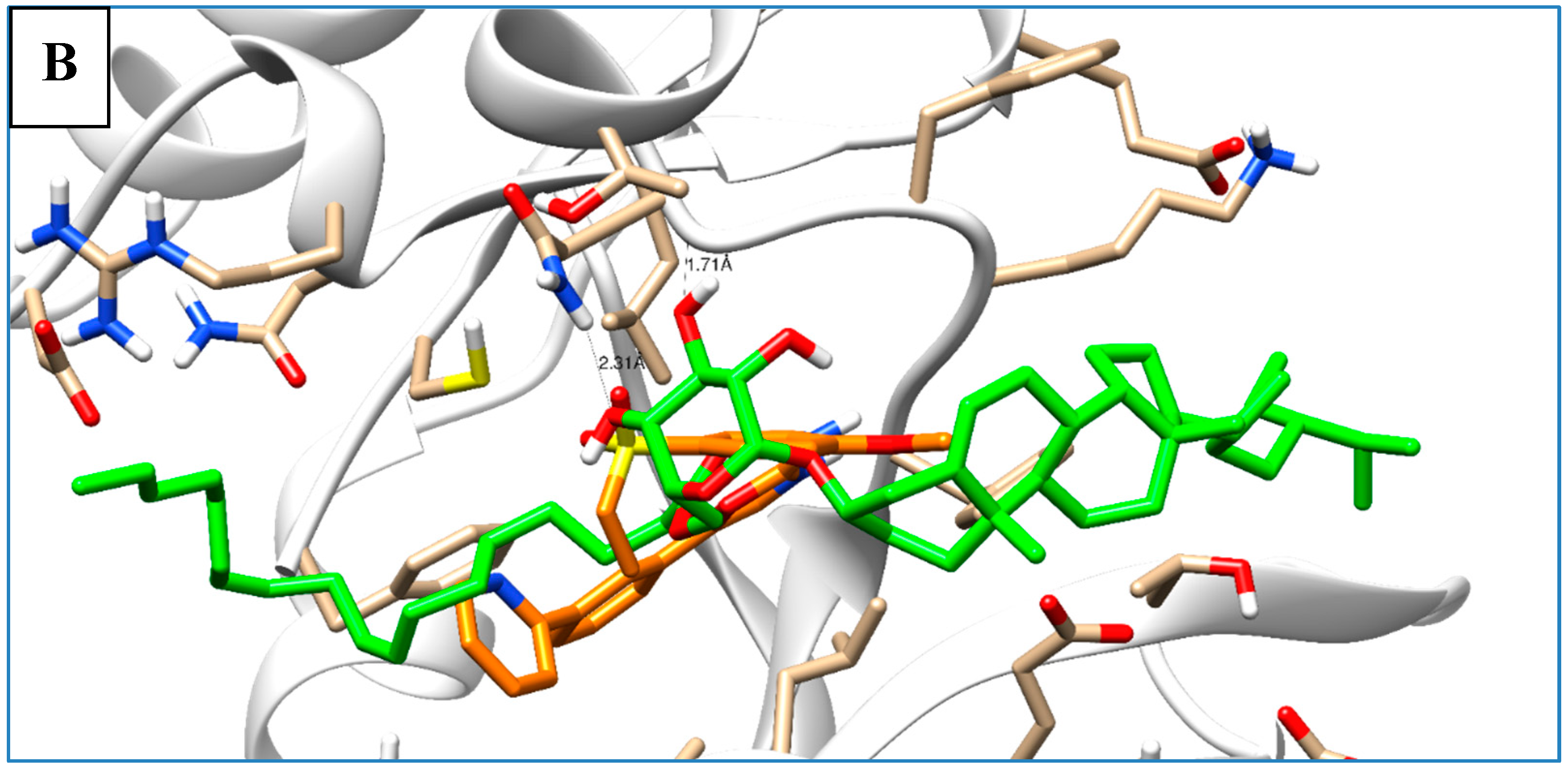 Molecules 25 05650 g007b Molecules 25 05650 g007b