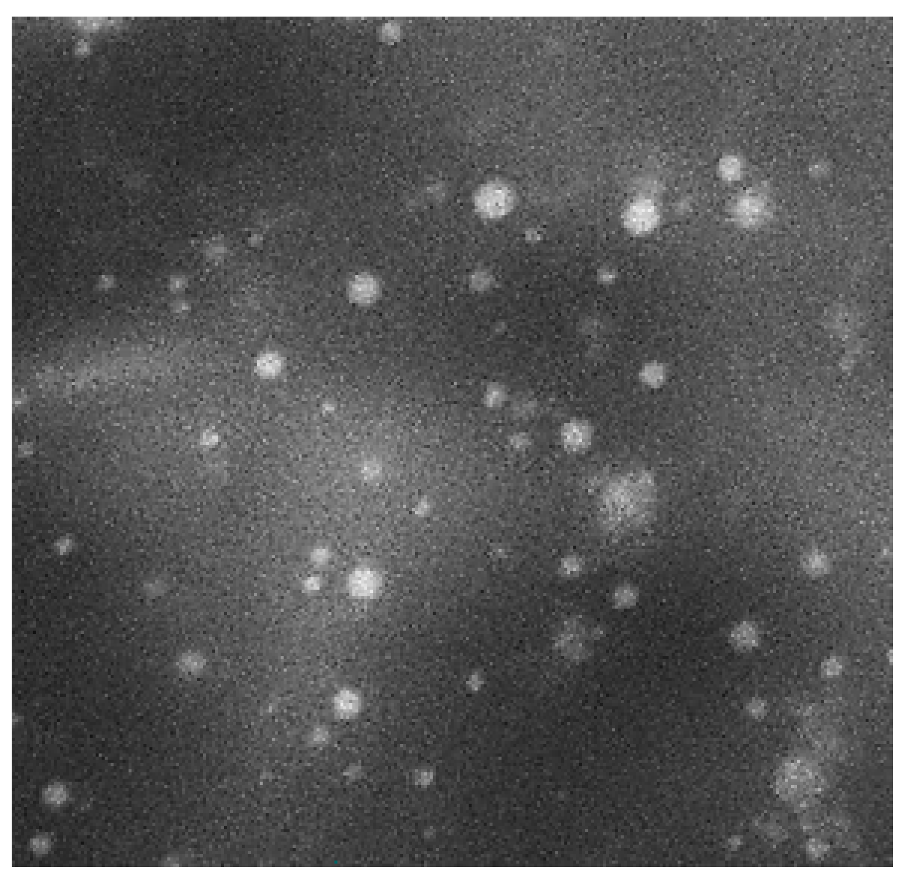 Molecules 25 05668 g007