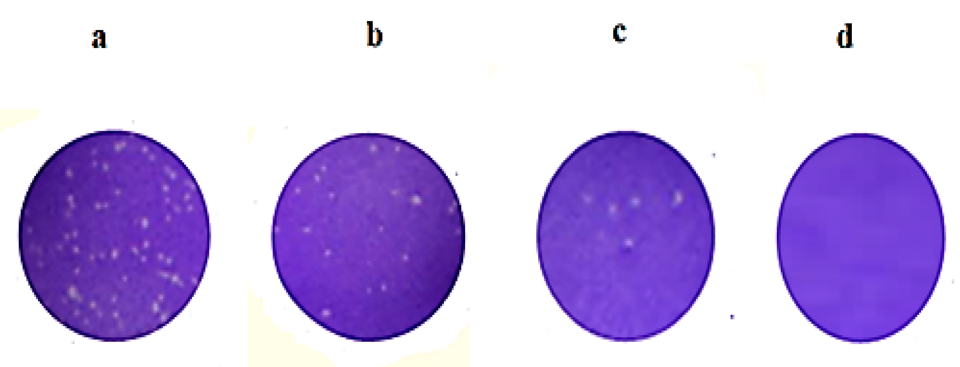 Molecules 25 05668 g010