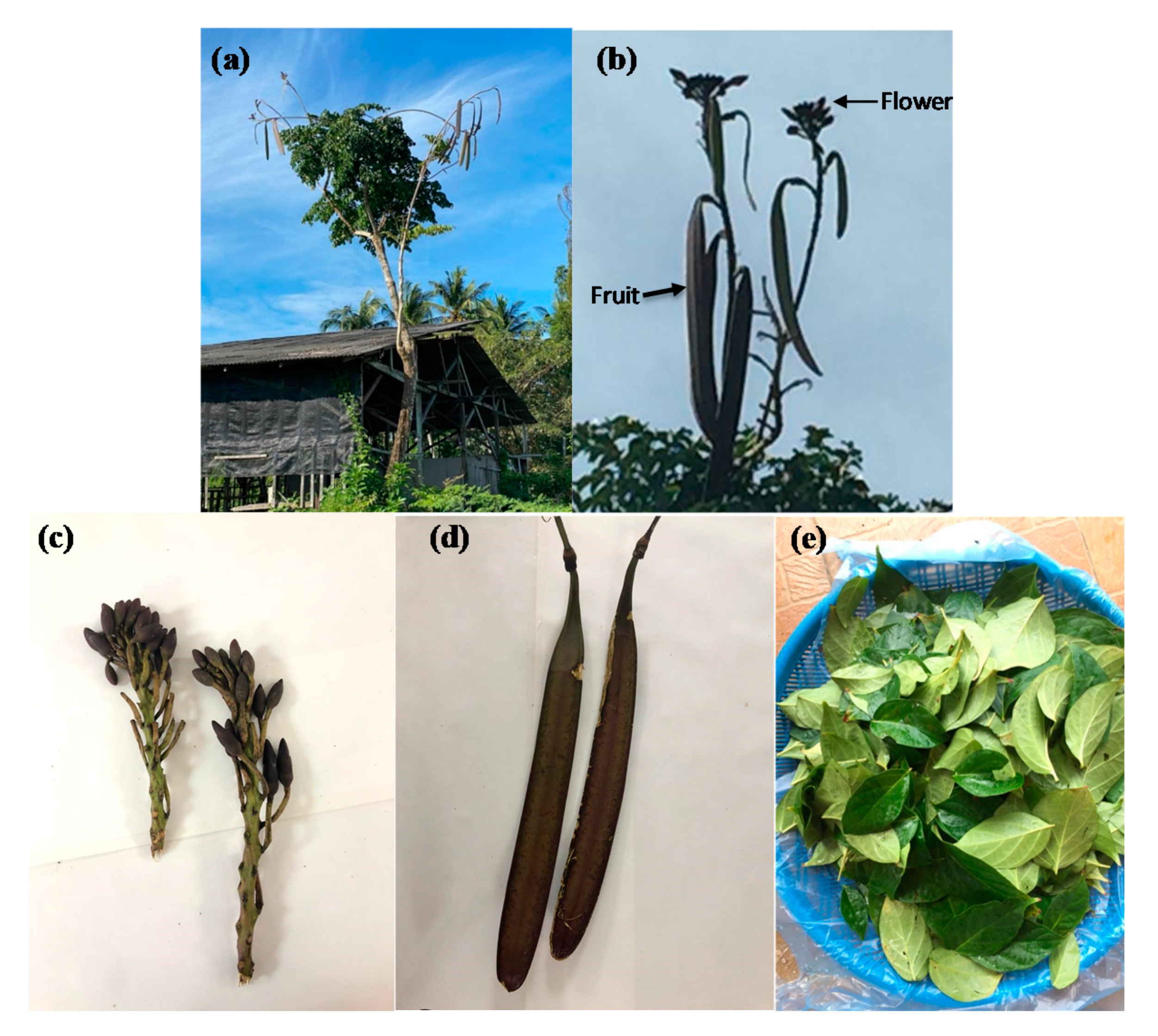 Molecules 25 05677 g001