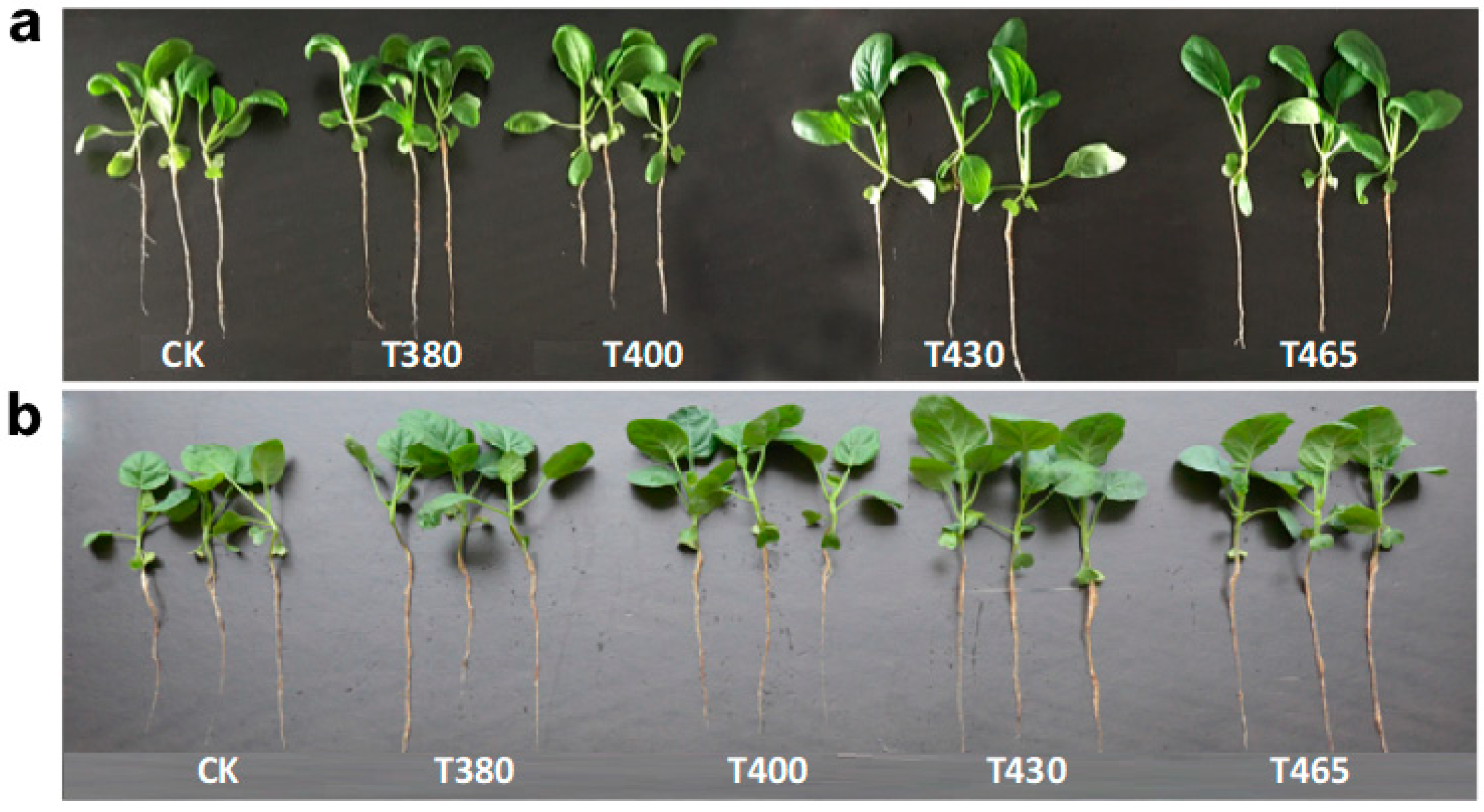 Molecules 25 05678 g009