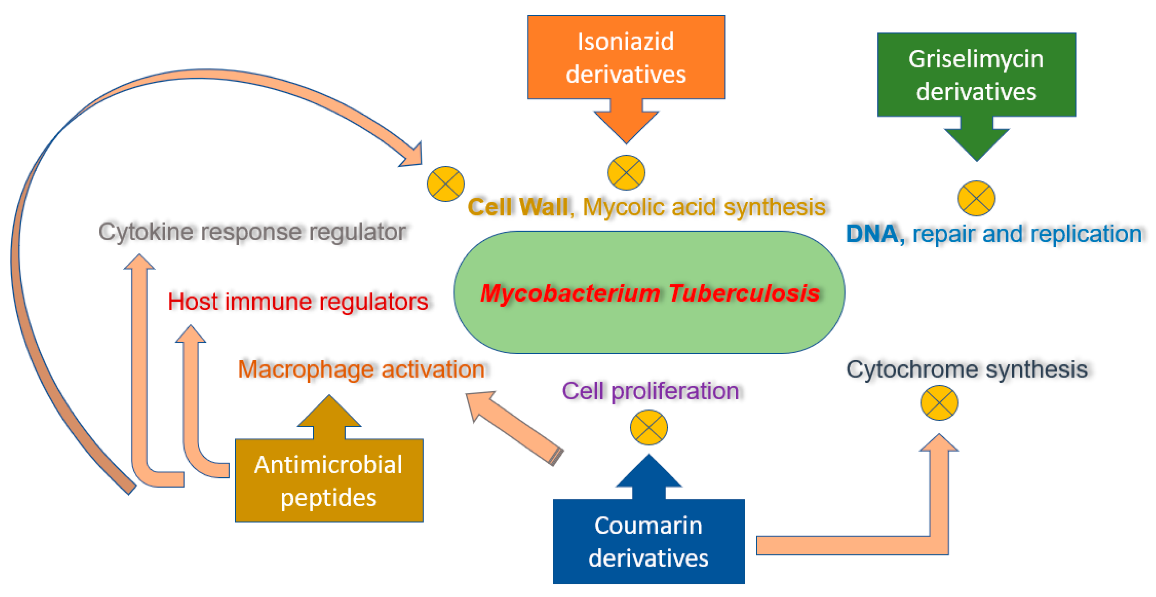 Molecules 25 05685 g002