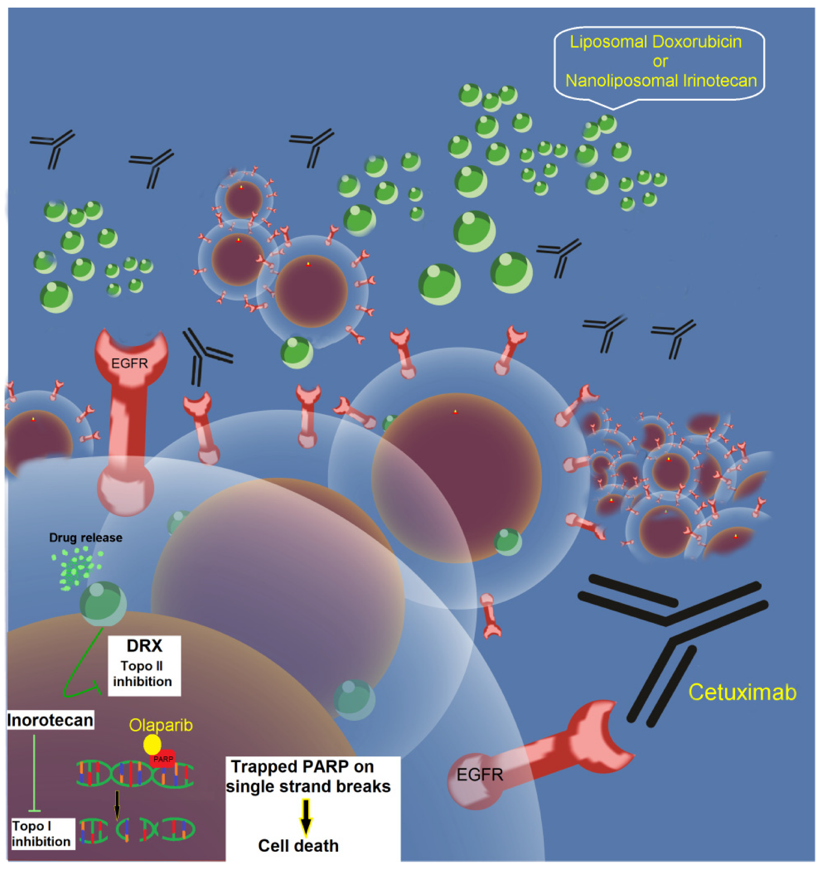 Molecules 25 05686 g002