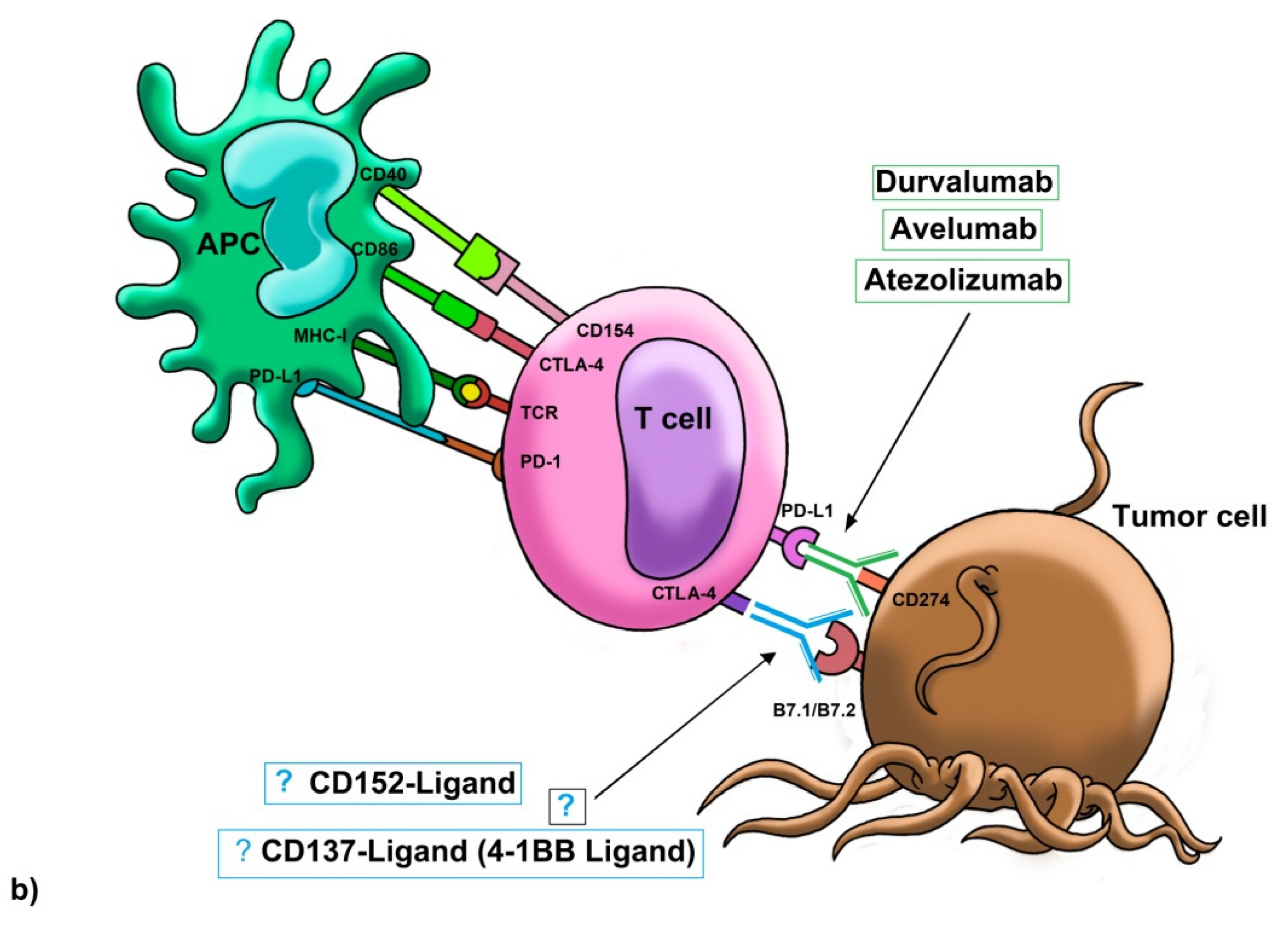 Molecules 25 05686 g003b
