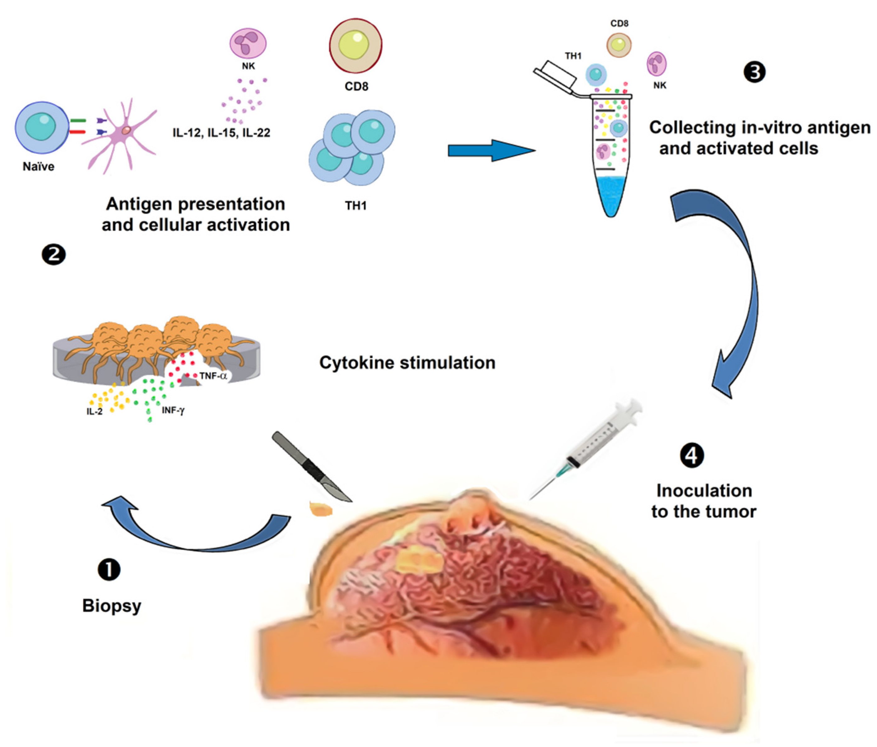 Molecules 25 05686 g004