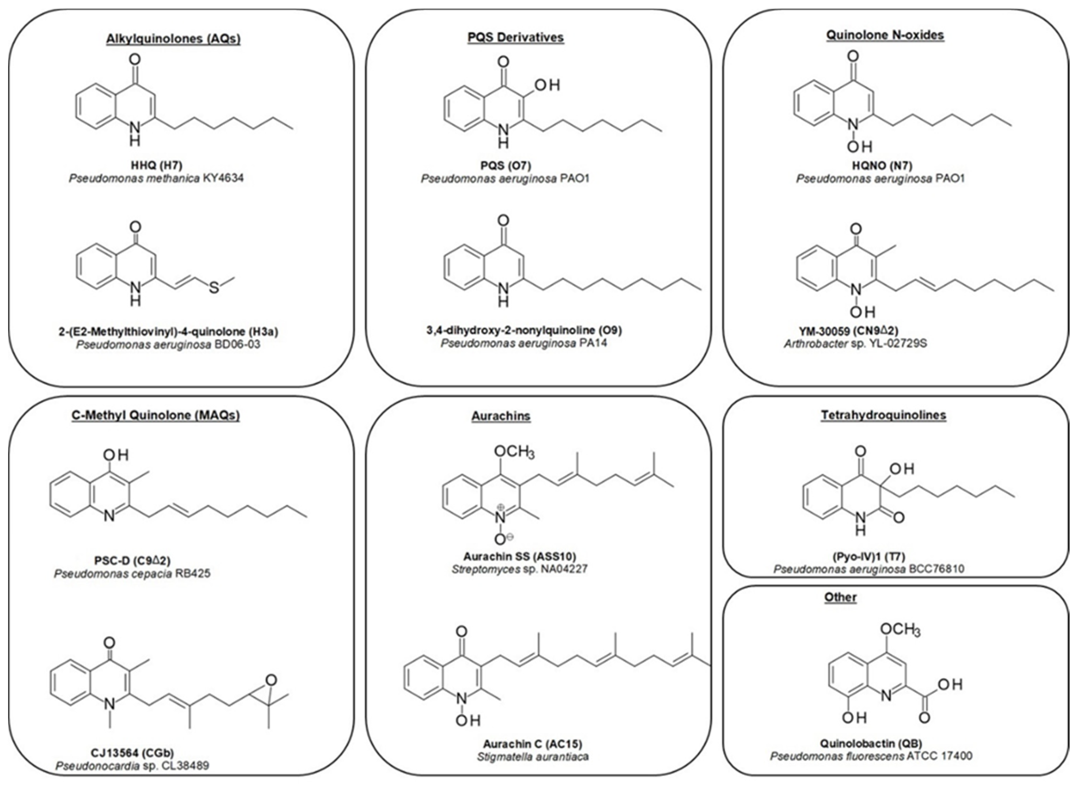 Molecules 25 05689 g002 Molecules 25 05689 g002
