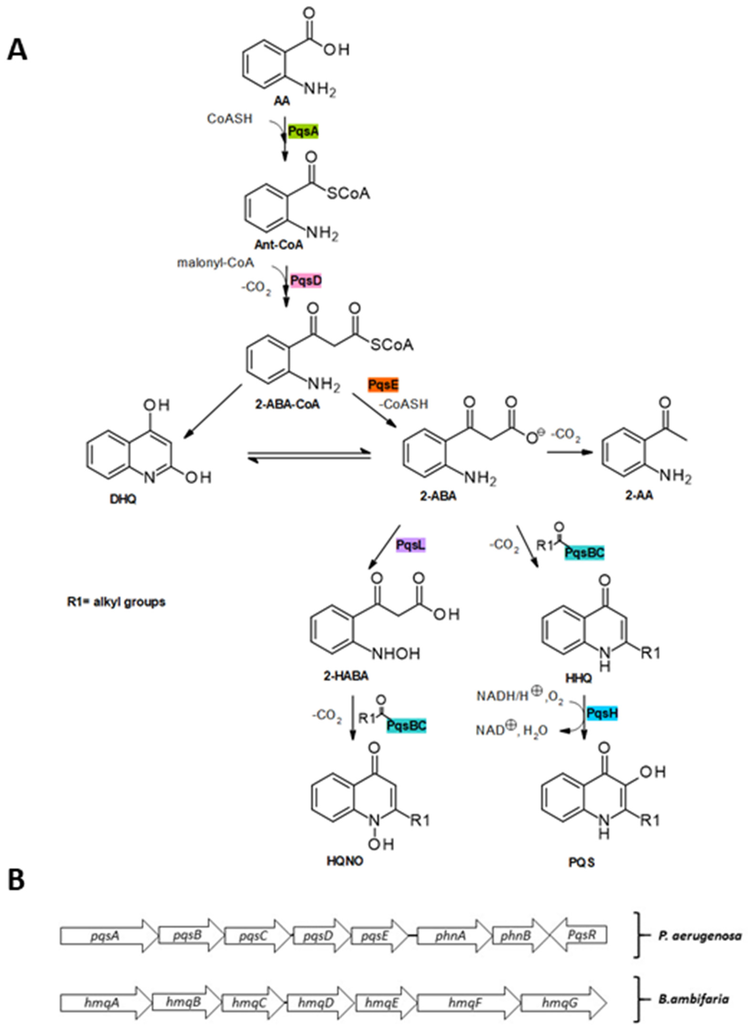 Molecules 25 05689 g004 Molecules 25 05689 g004