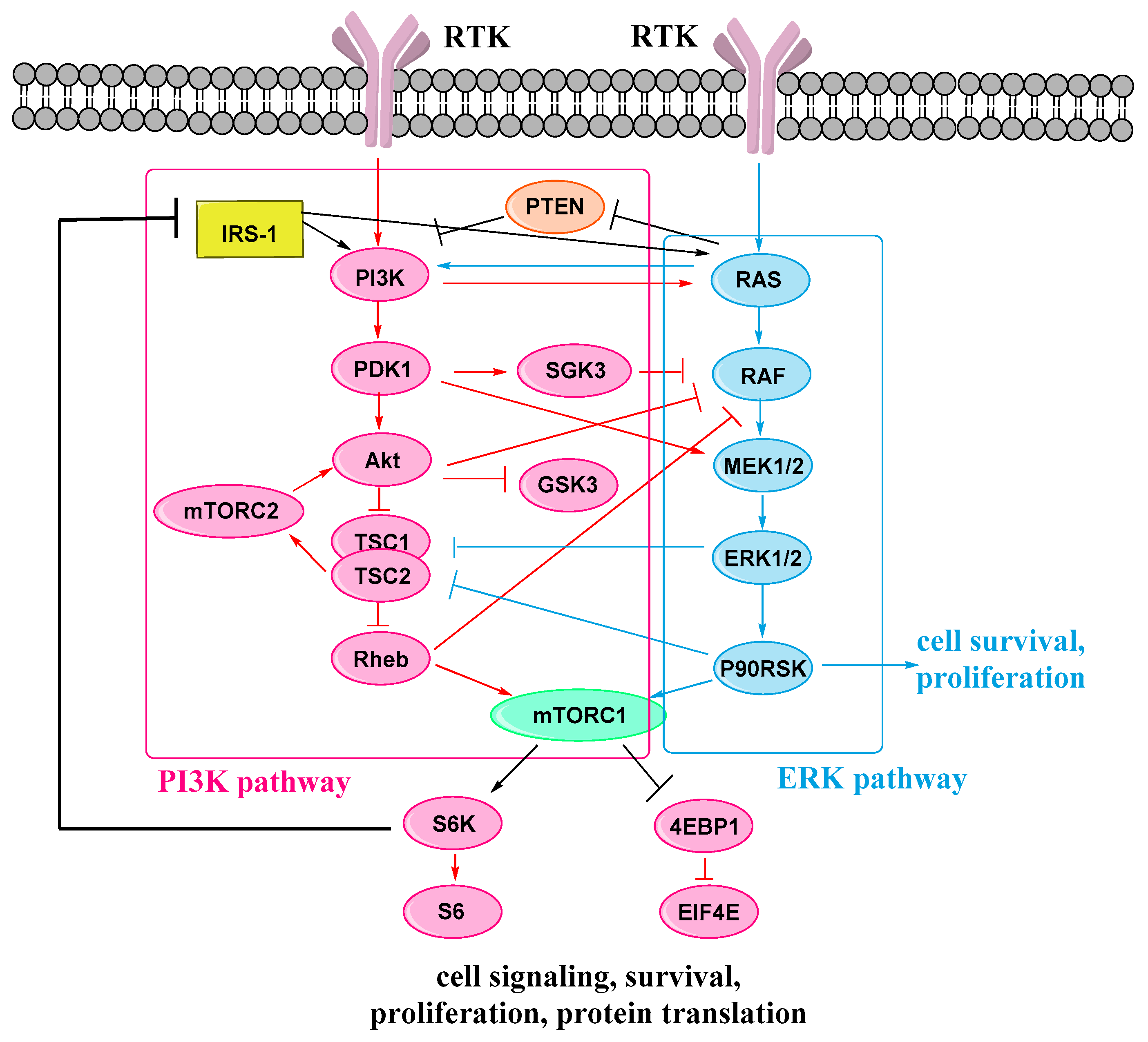Molecules 25 05693 g003