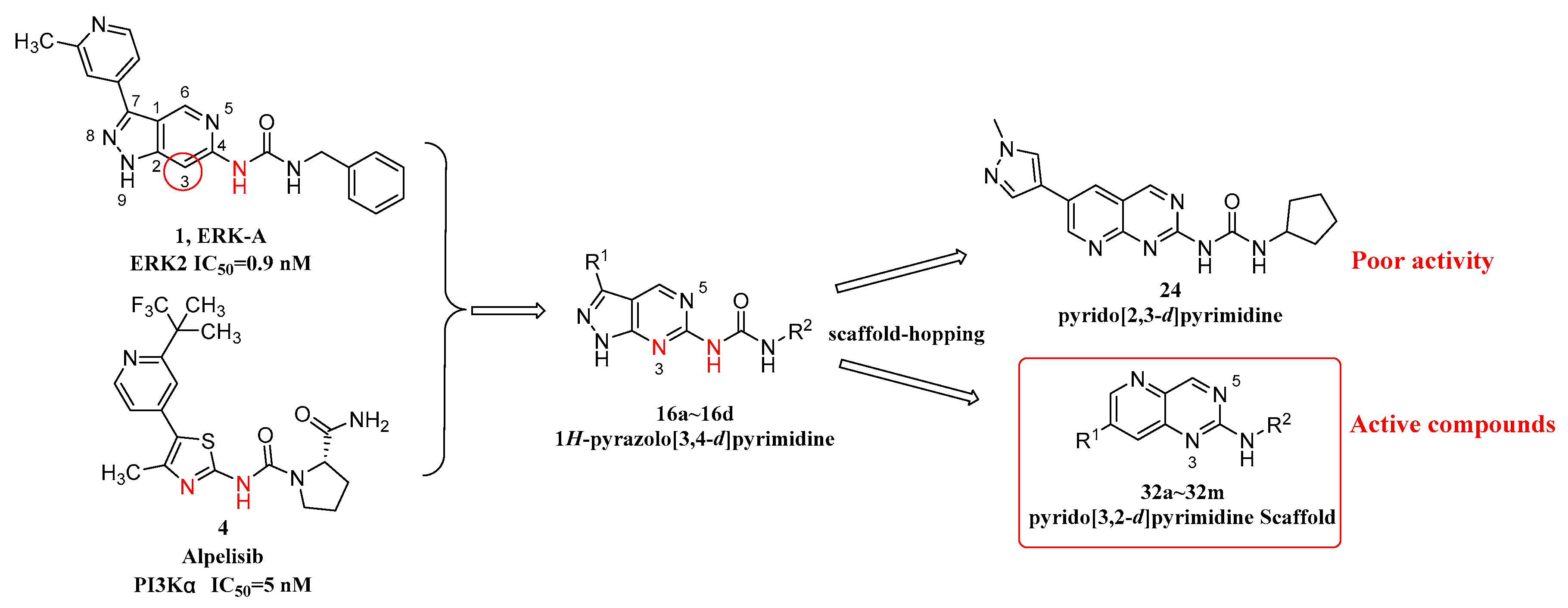 Molecules 25 05693 g005