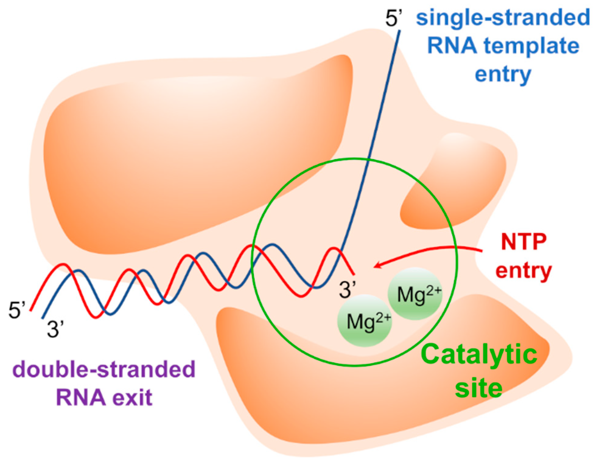 Molecules 25 05695 g001