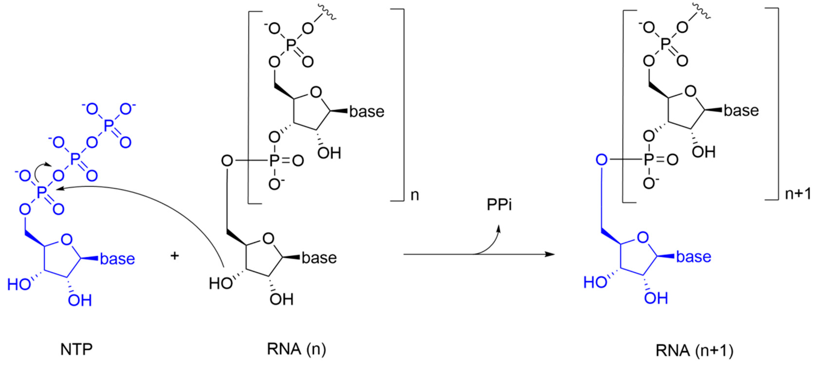 Molecules 25 05695 g002