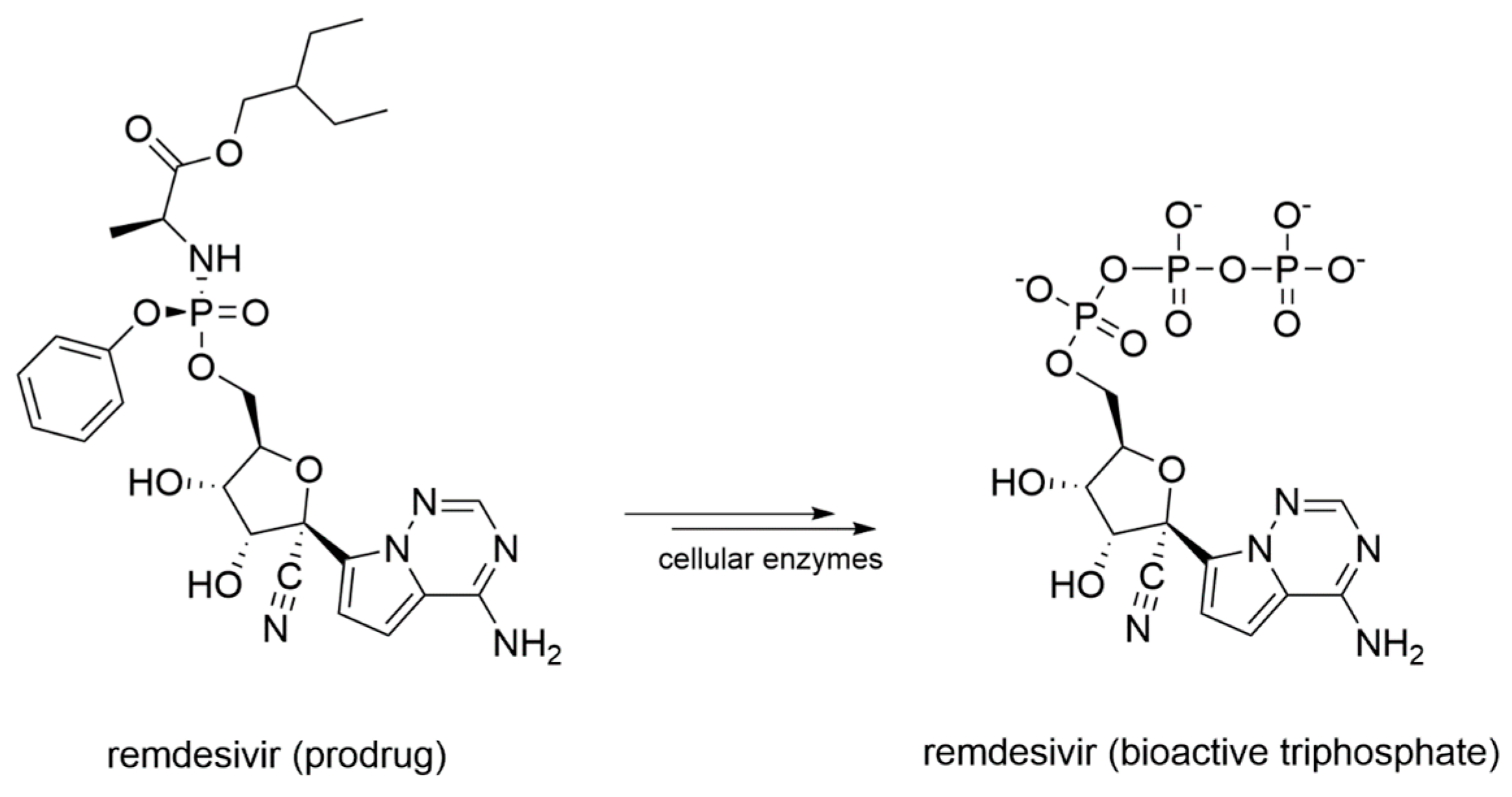 Molecules 25 05695 g009