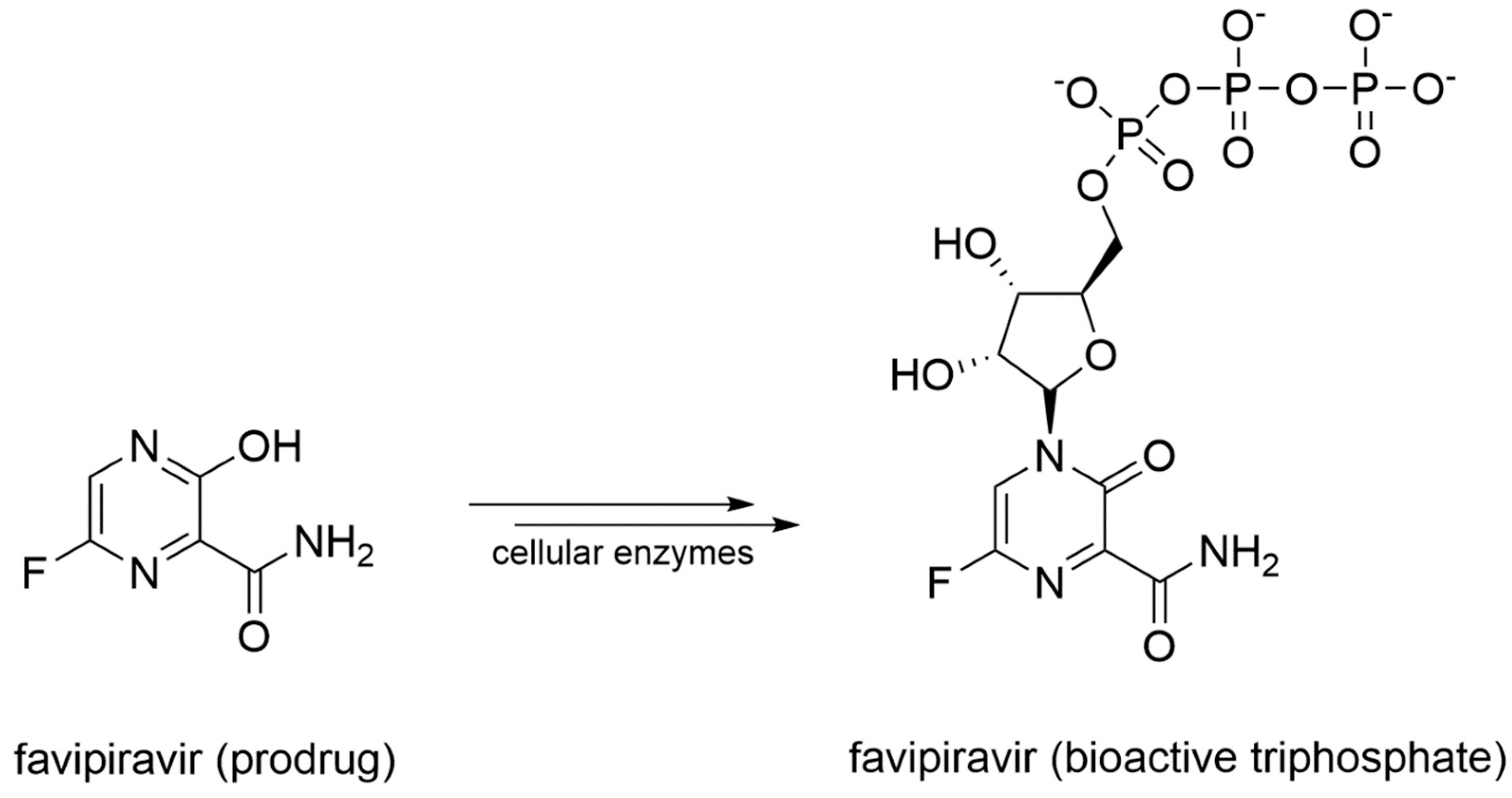 Molecules 25 05695 g010