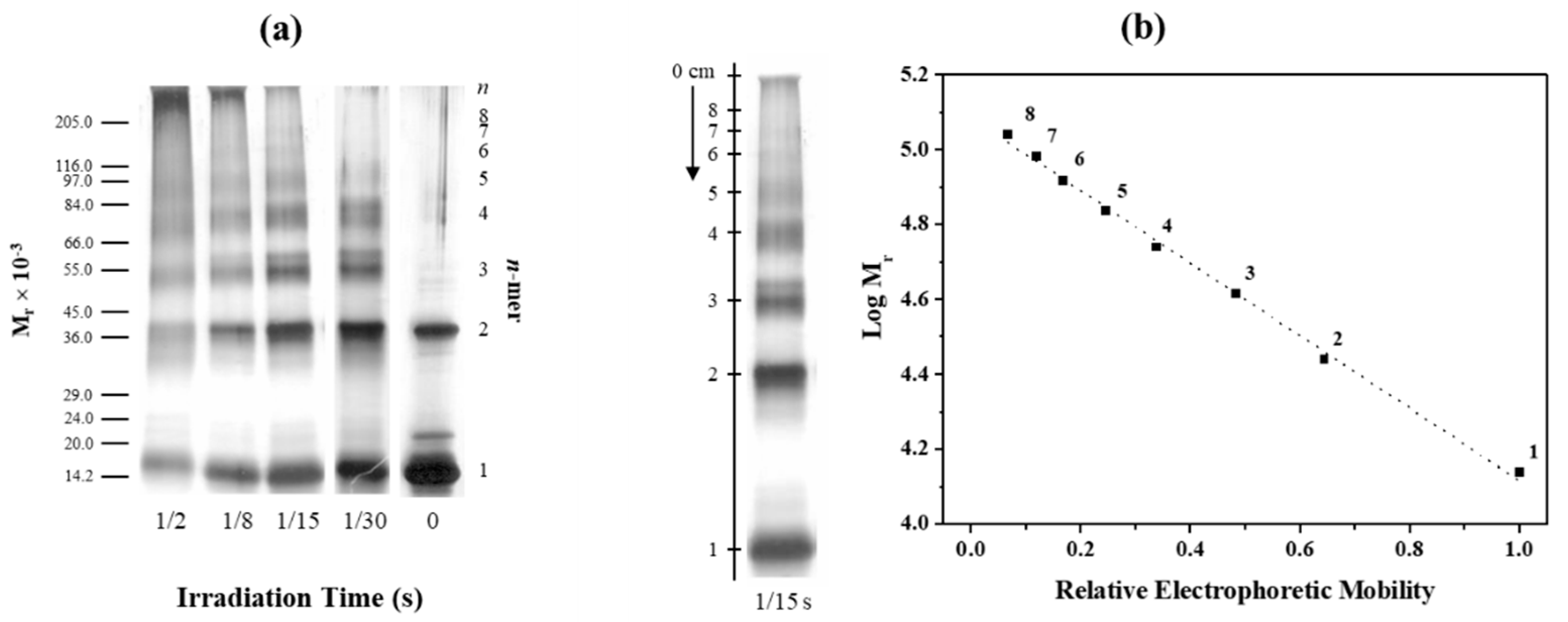 Molecules 25 05698 g001 Molecules 25 05698 g001