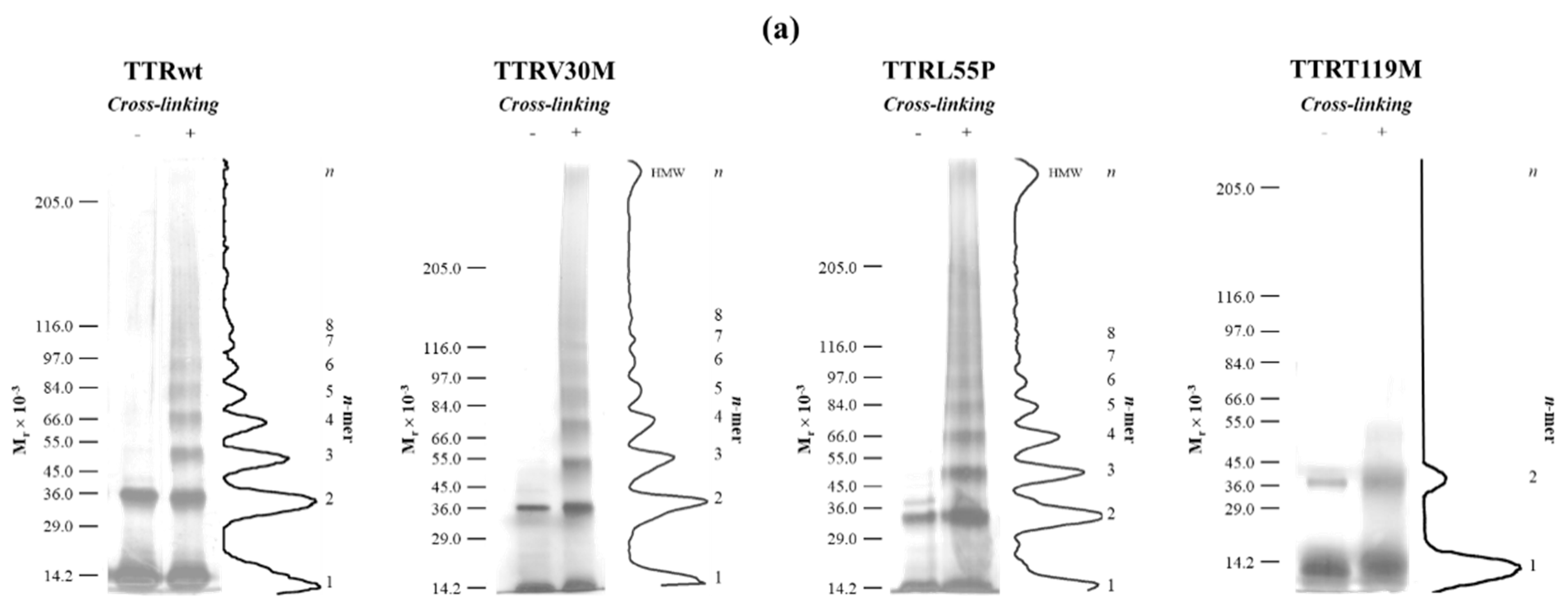 Molecules 25 05698 g002a Molecules 25 05698 g002a