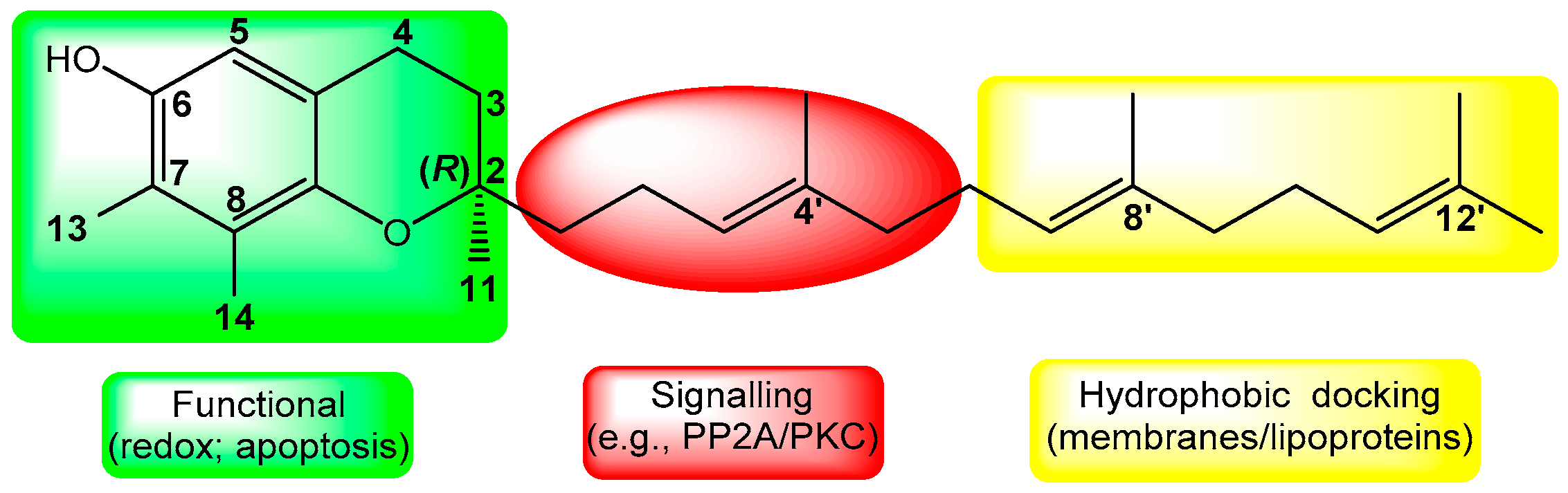Molecules 25 05700 g002 Molecules 25 05700 g002