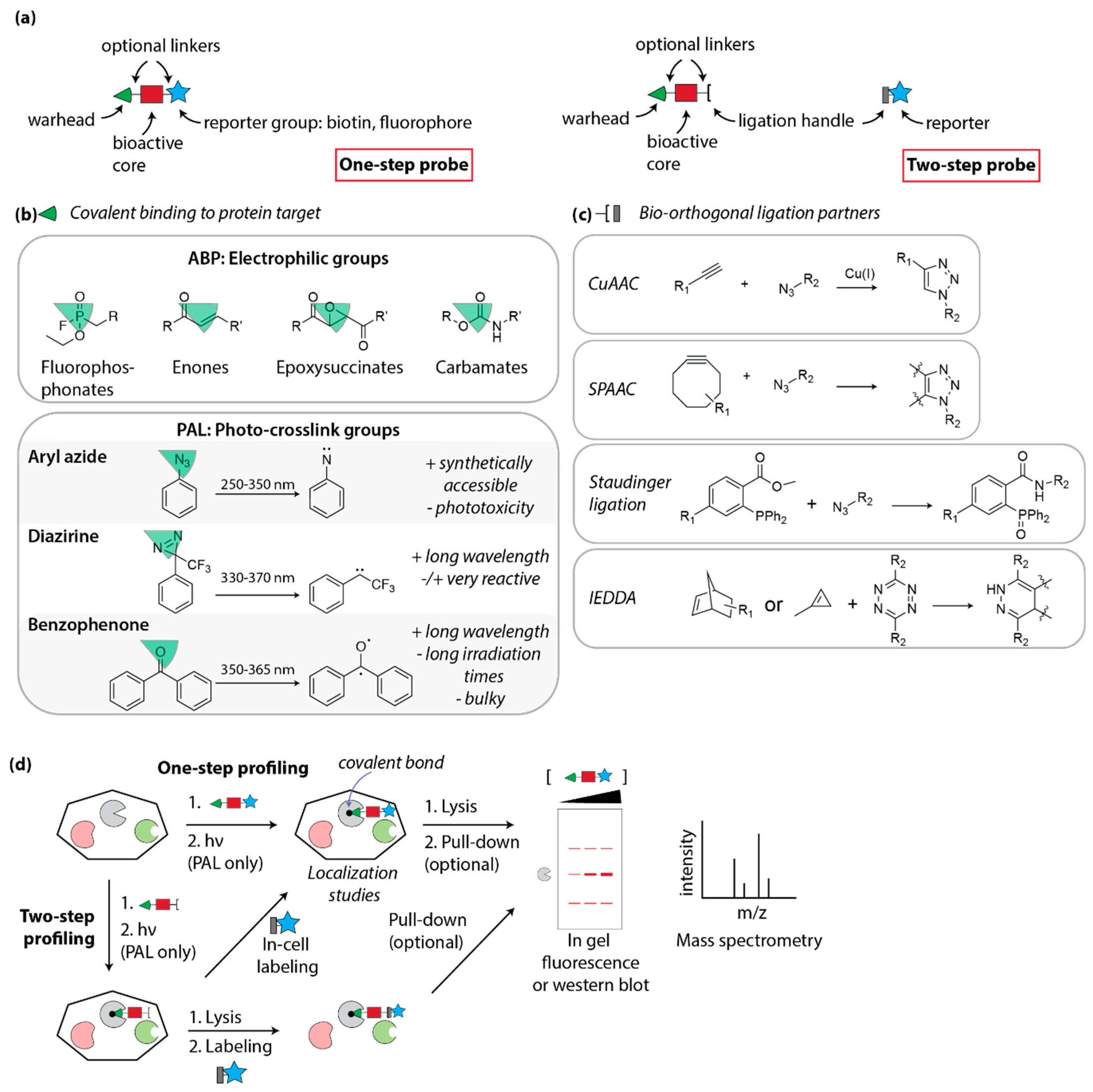 Molecules 25 05702 g001