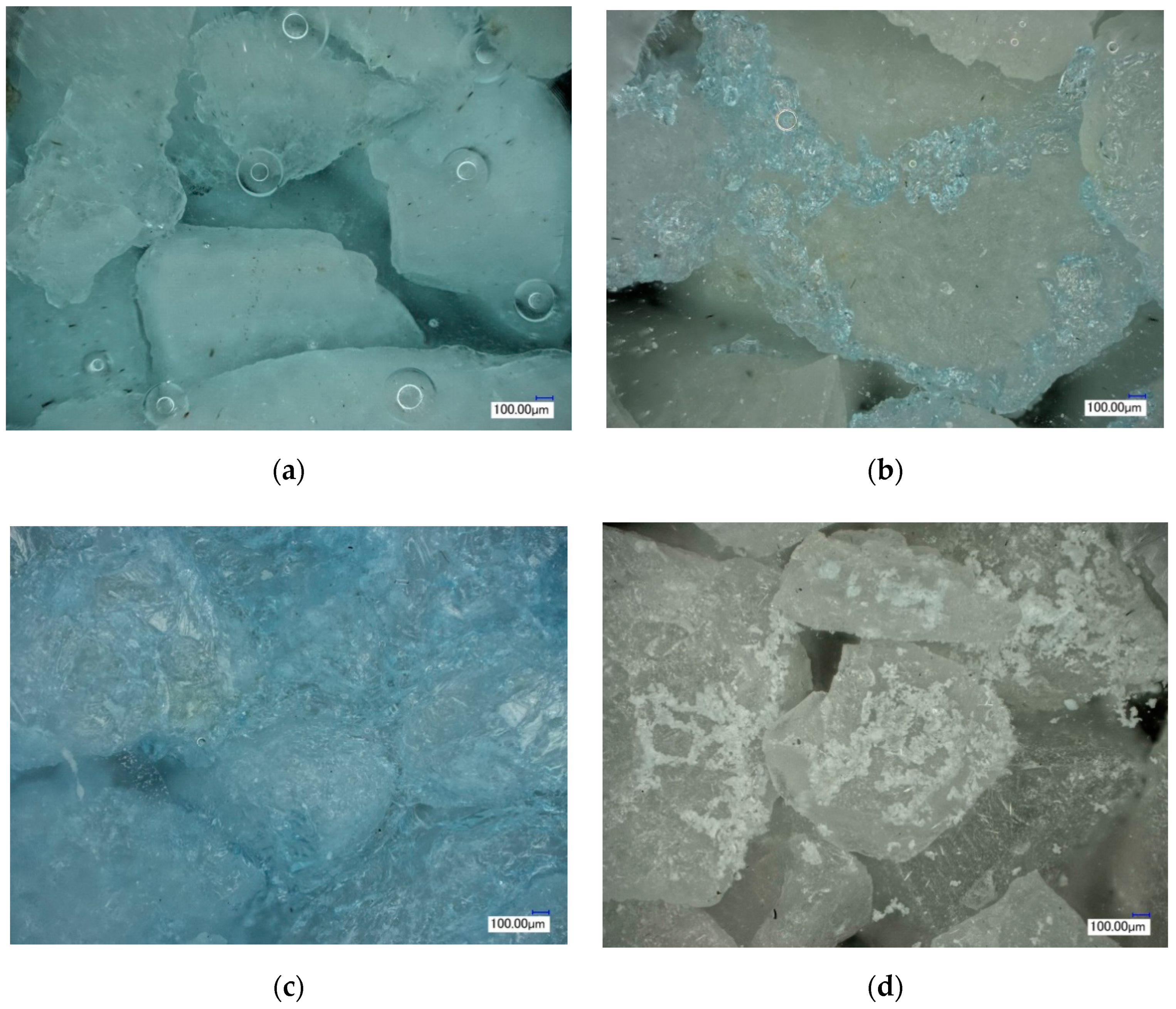 Molecules 25 05708 g005