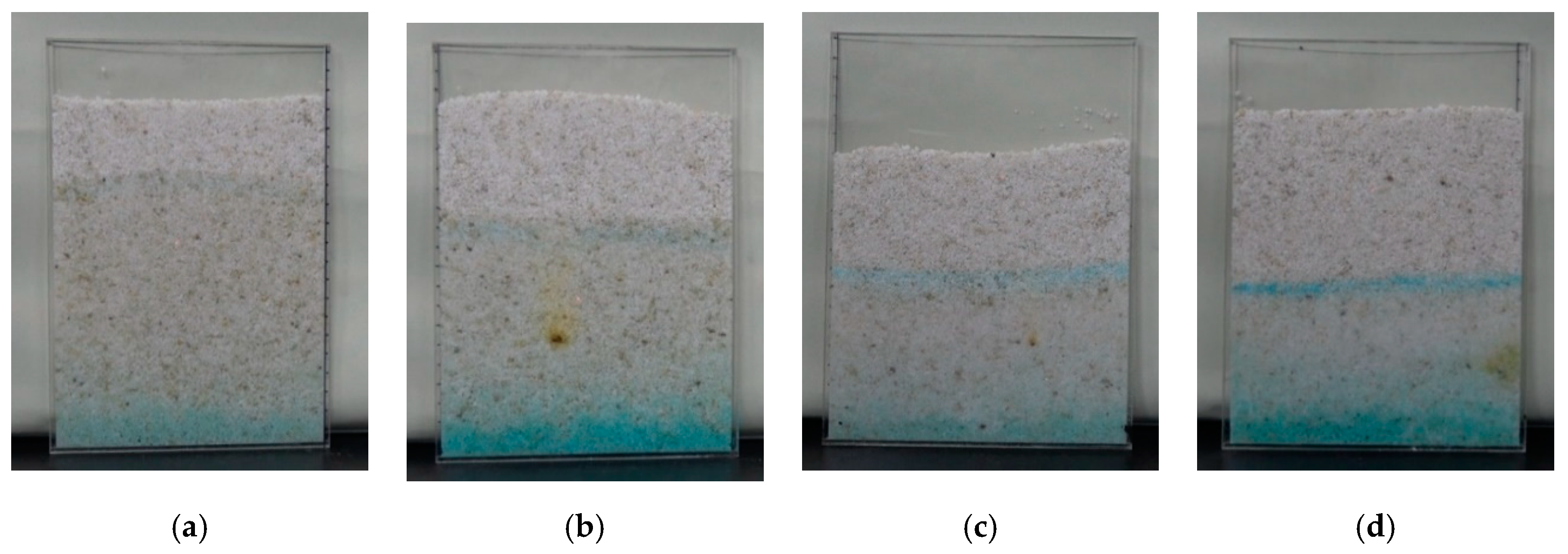 Molecules 25 05708 g011