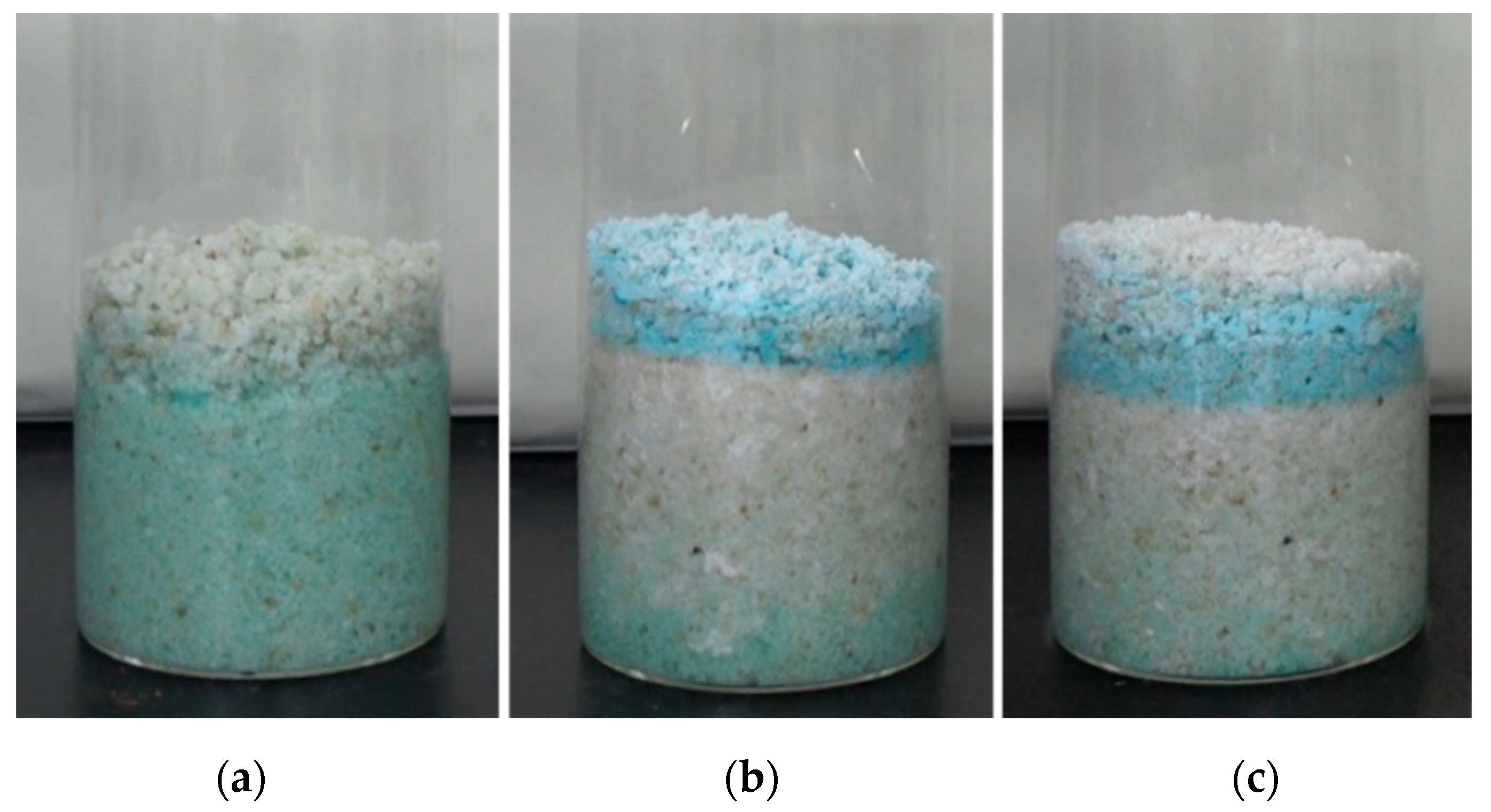 Molecules 25 05708 g013