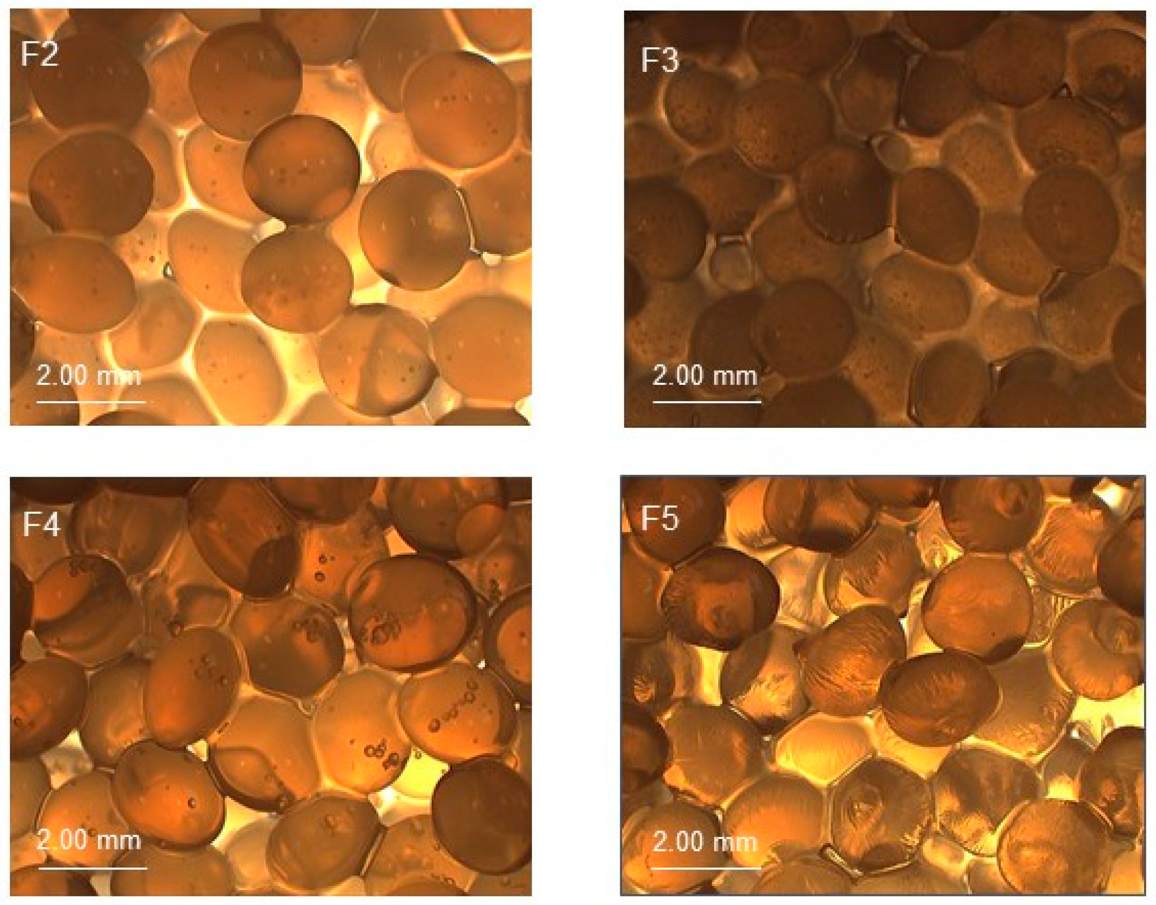 Molecules 25 05711 g001 Molecules 25 05711 g001