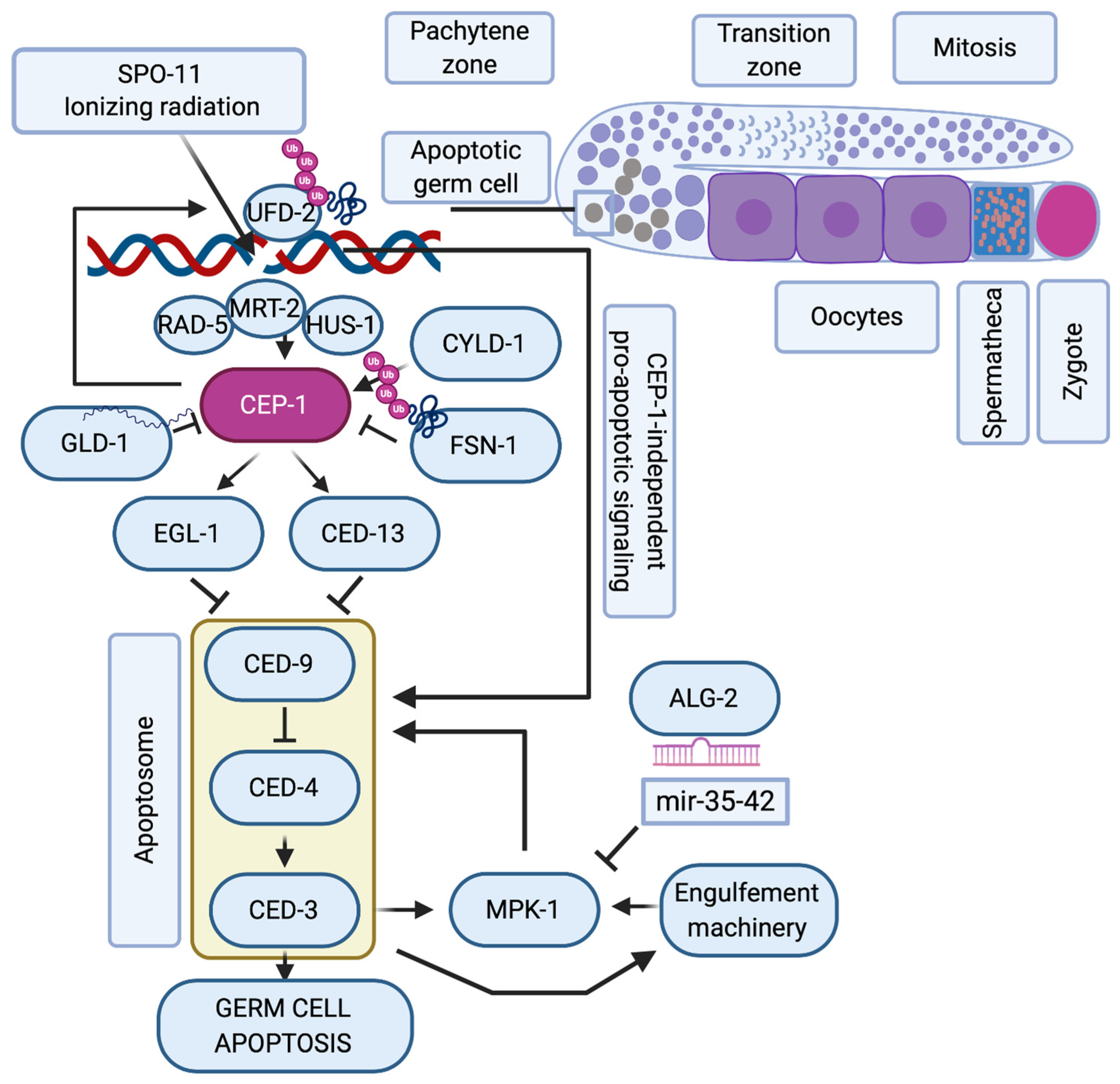 Molecules 25 05714 g001