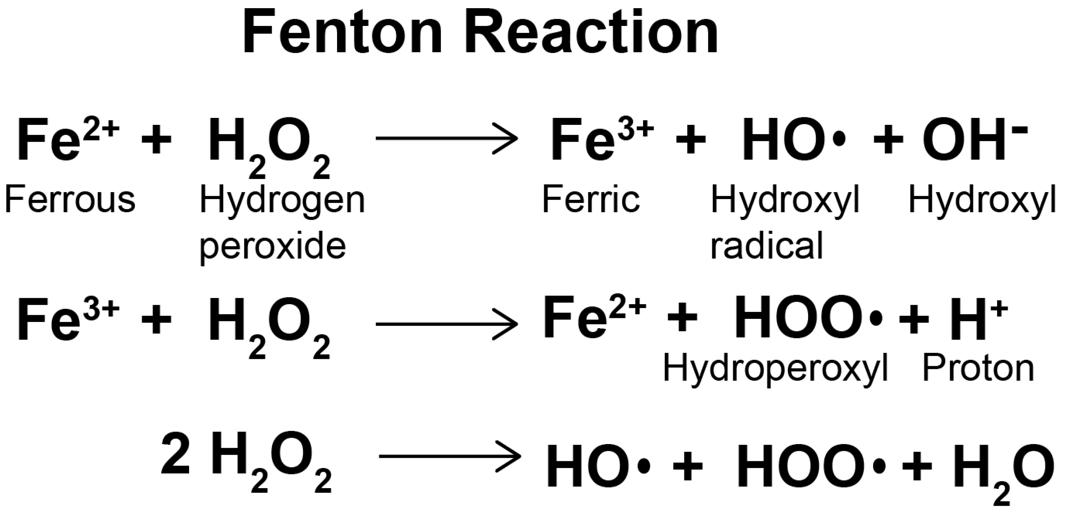 Molecules 25 05719 g002 Molecules 25 05719 g002