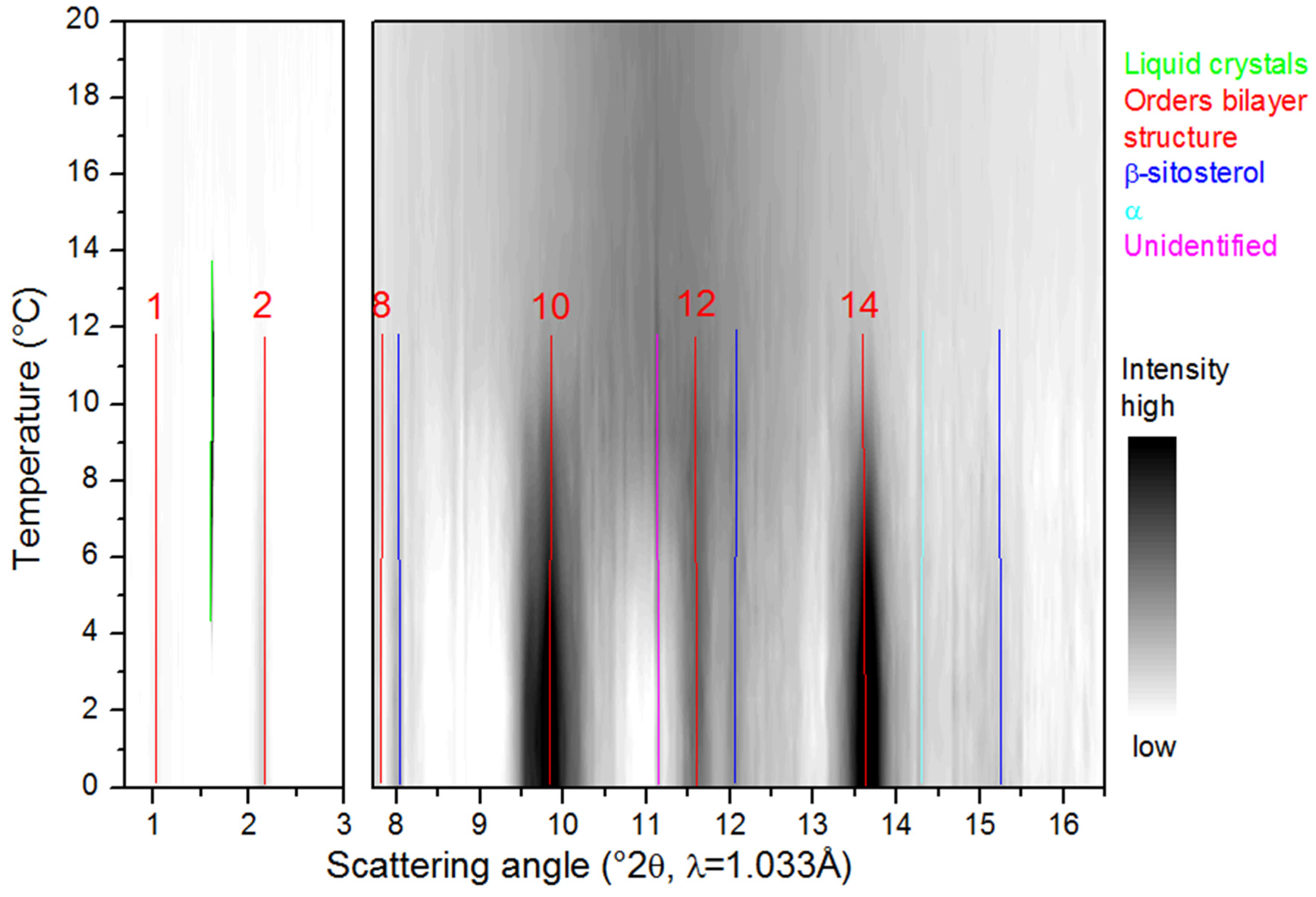 Molecules 25 05727 g006 Molecules 25 05727 g006