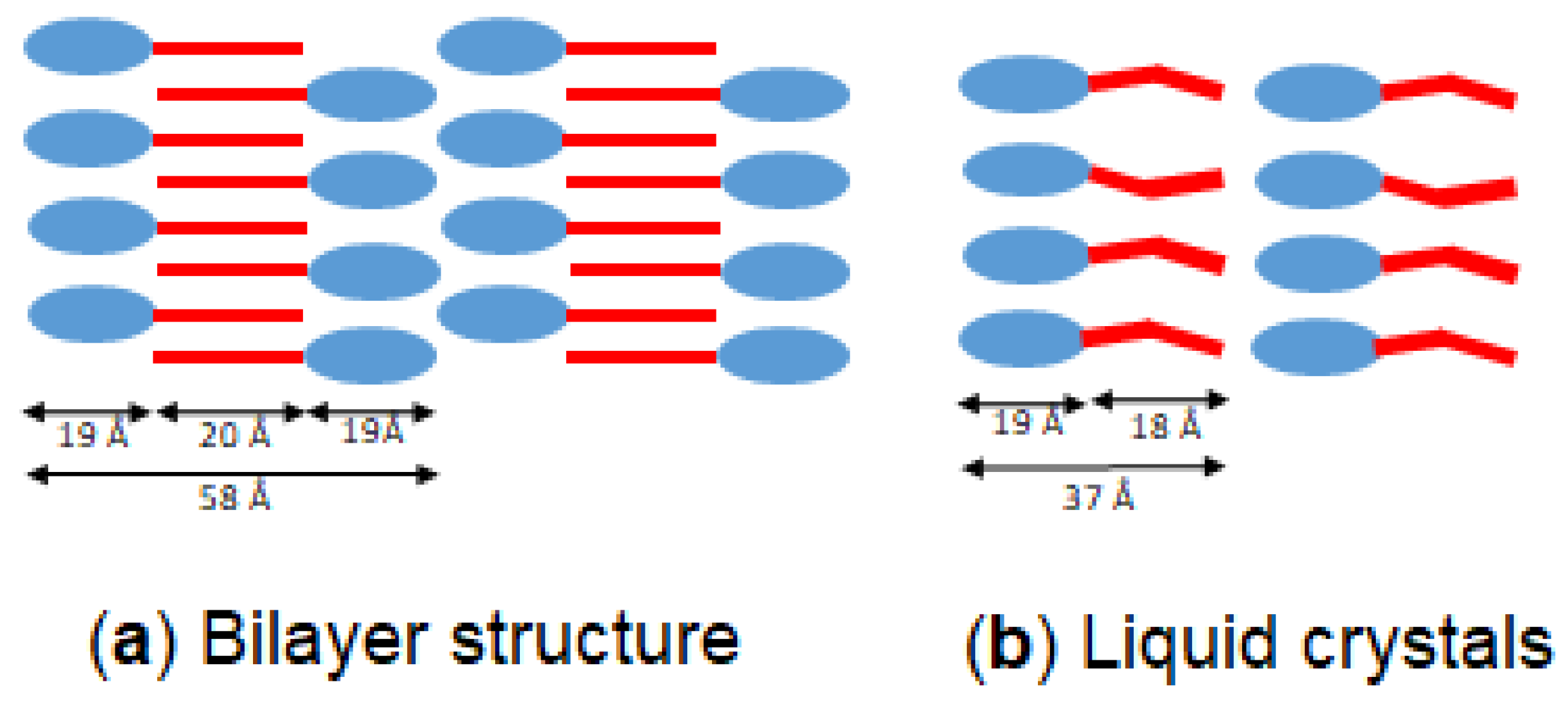 Molecules 25 05727 g010 Molecules 25 05727 g010