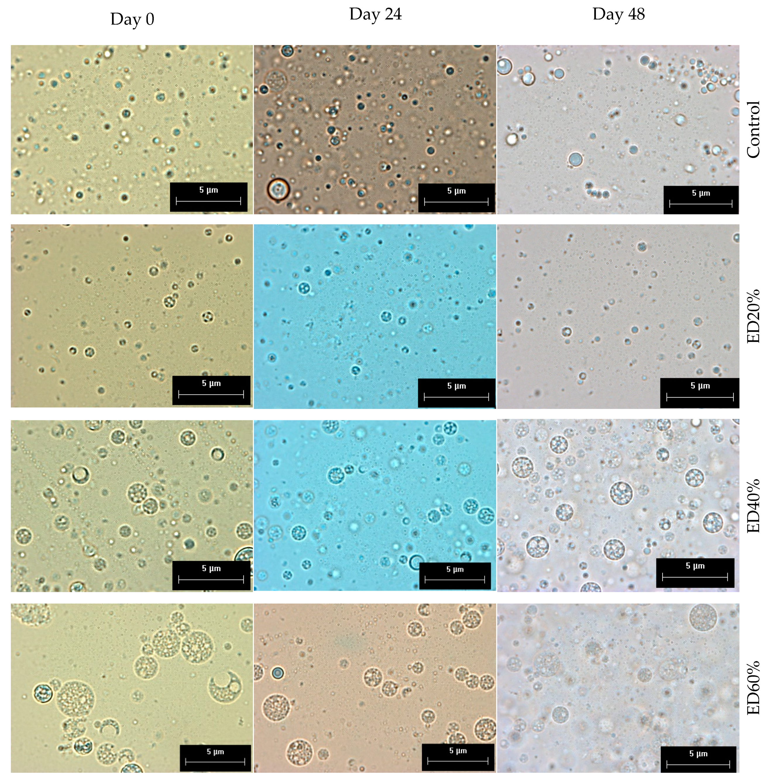 Molecules 25 05736 g001