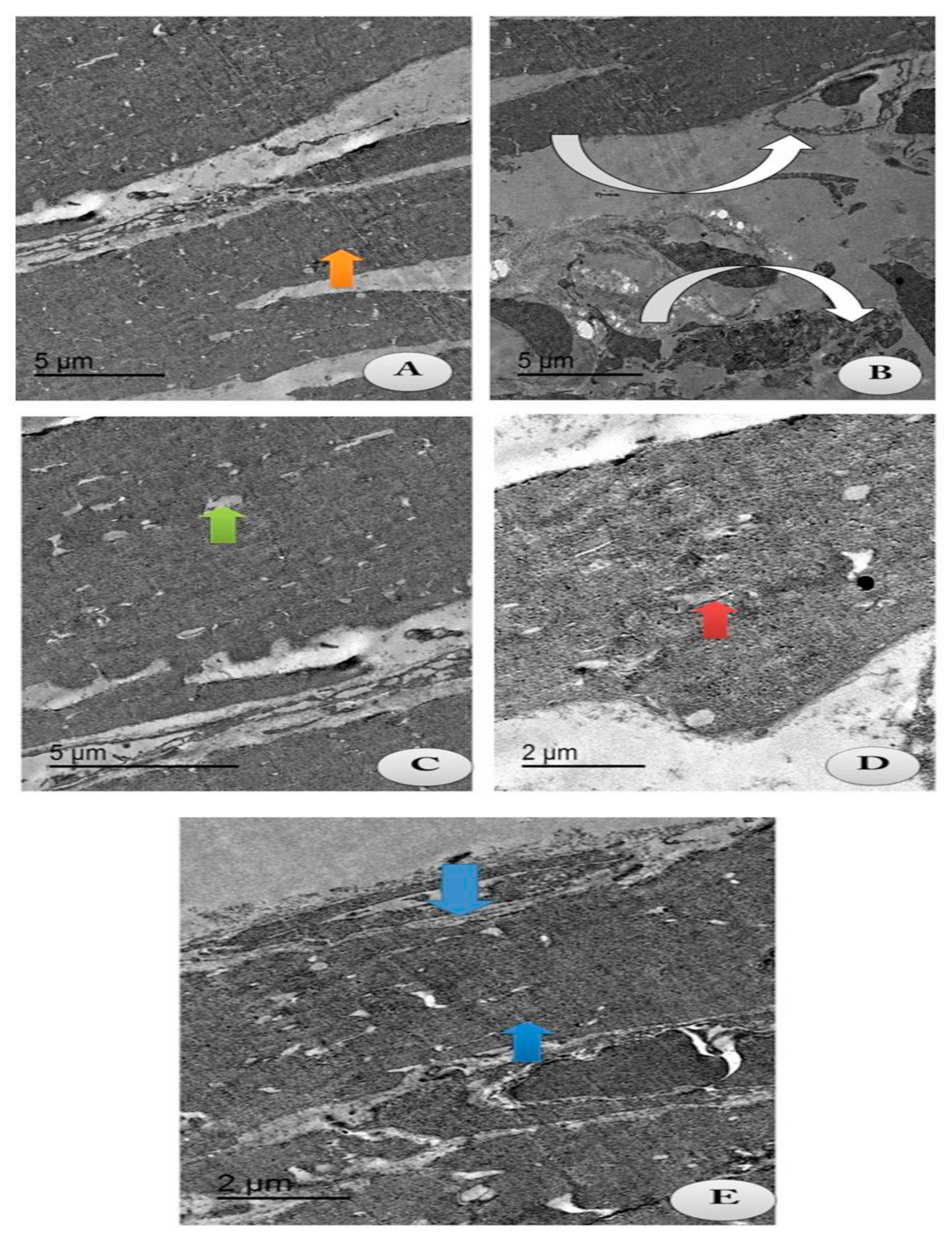 Molecules 25 05738 g009