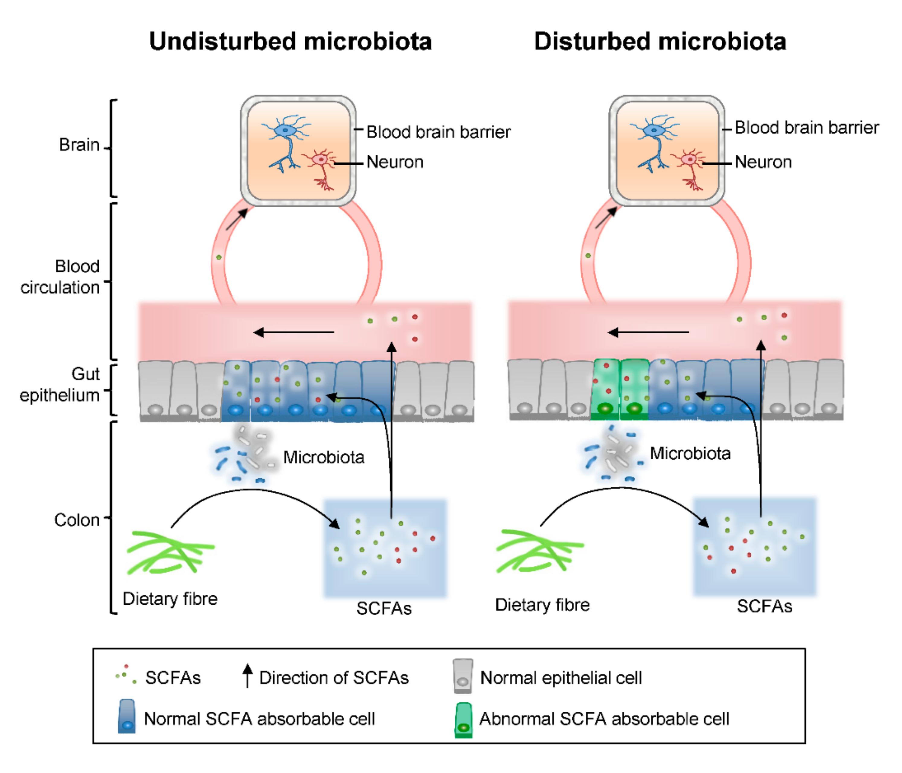 Molecules 25 05739 g005