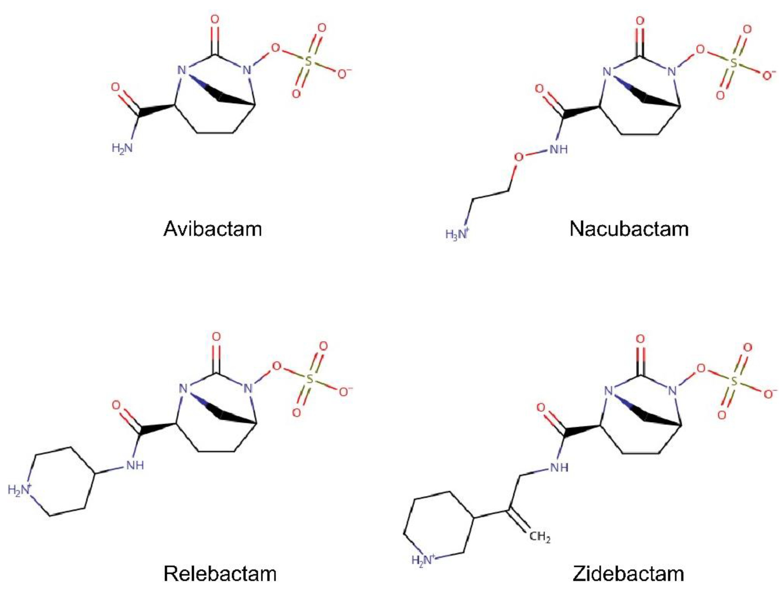 Molecules 25 05747 g003