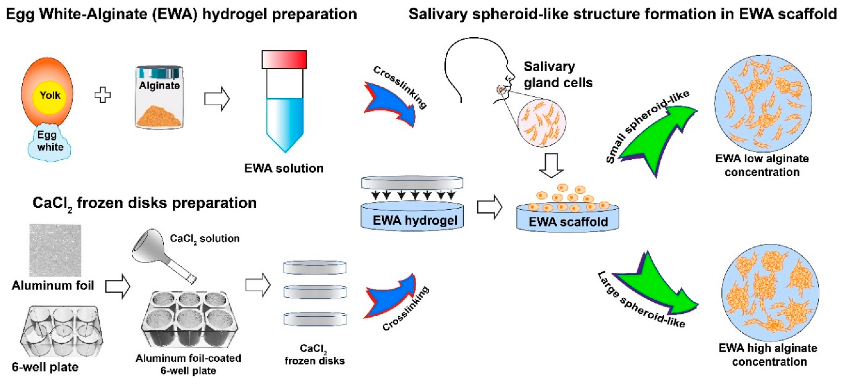Molecules 25 05751 g001
